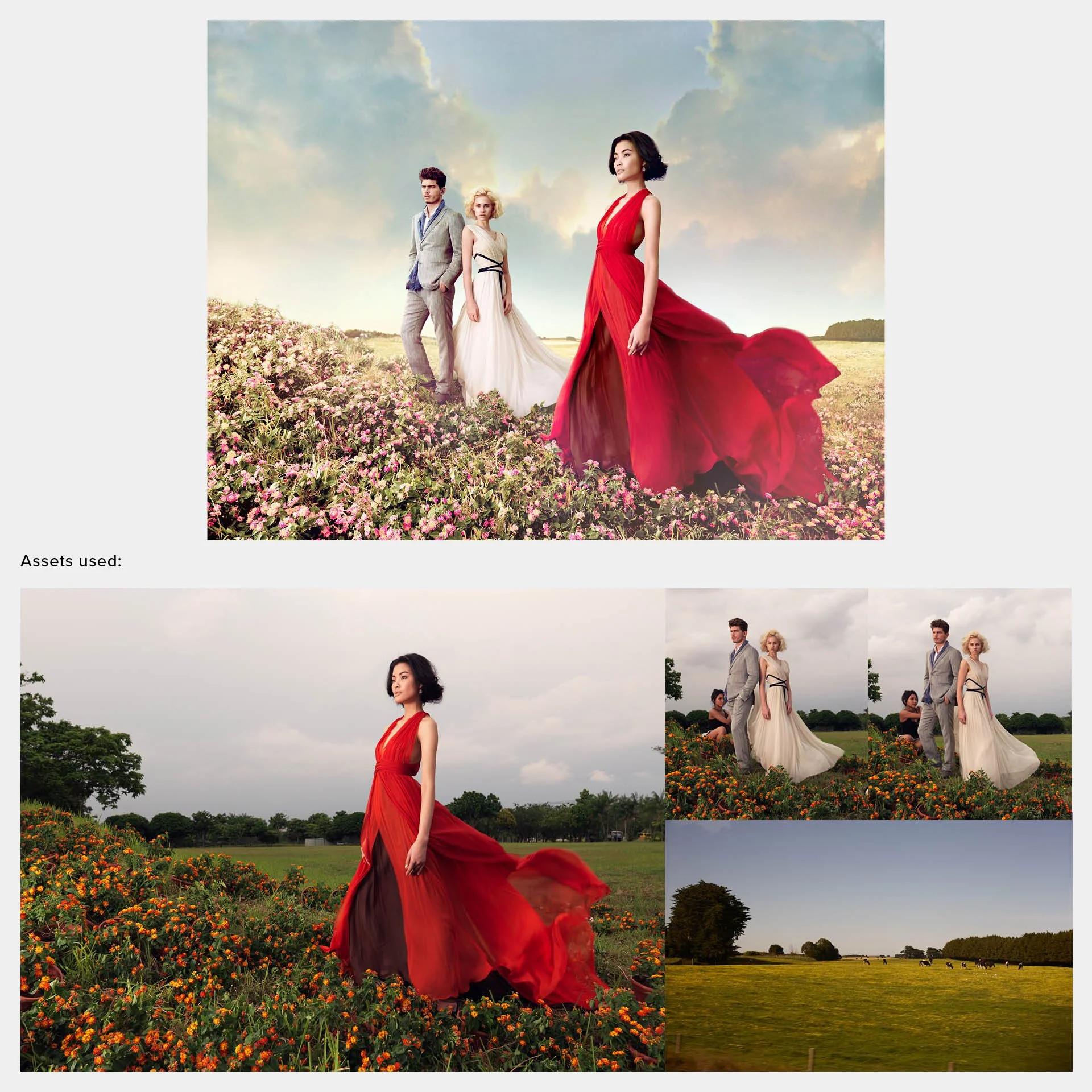 ION spring.jpg