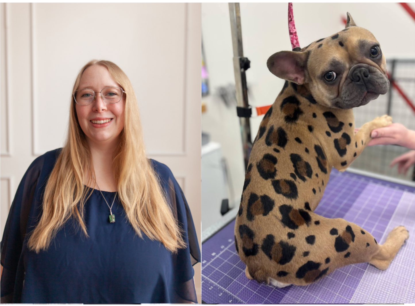 Gallery — The Colorful K9