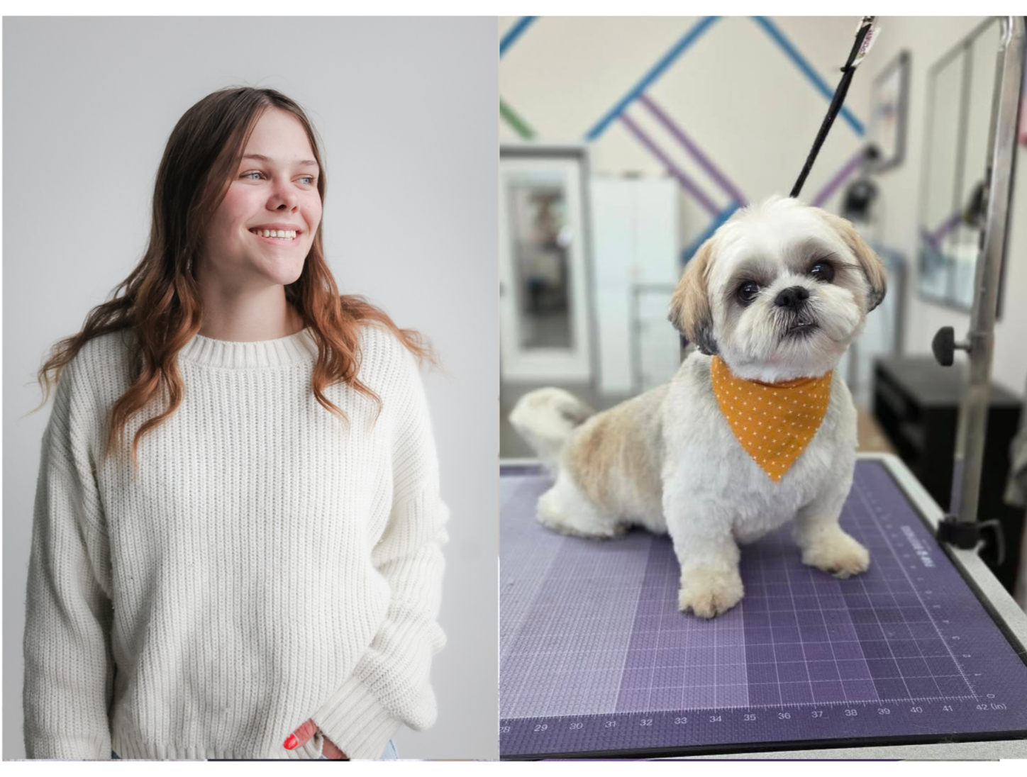 Gallery — The Colorful K9