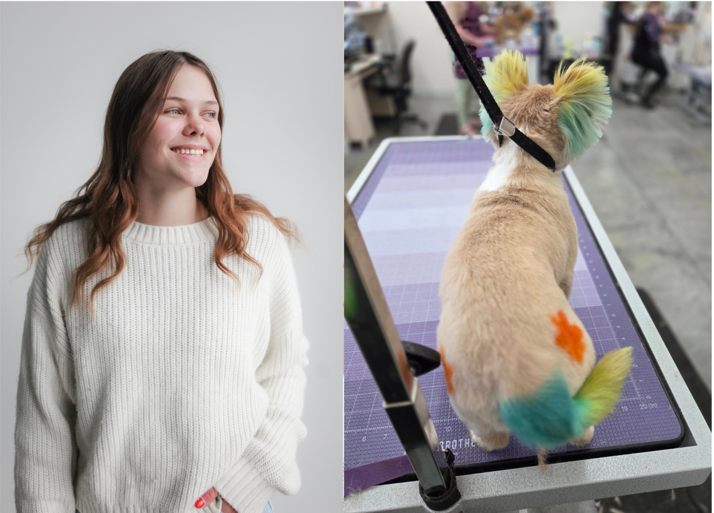 Gallery — The Colorful K9