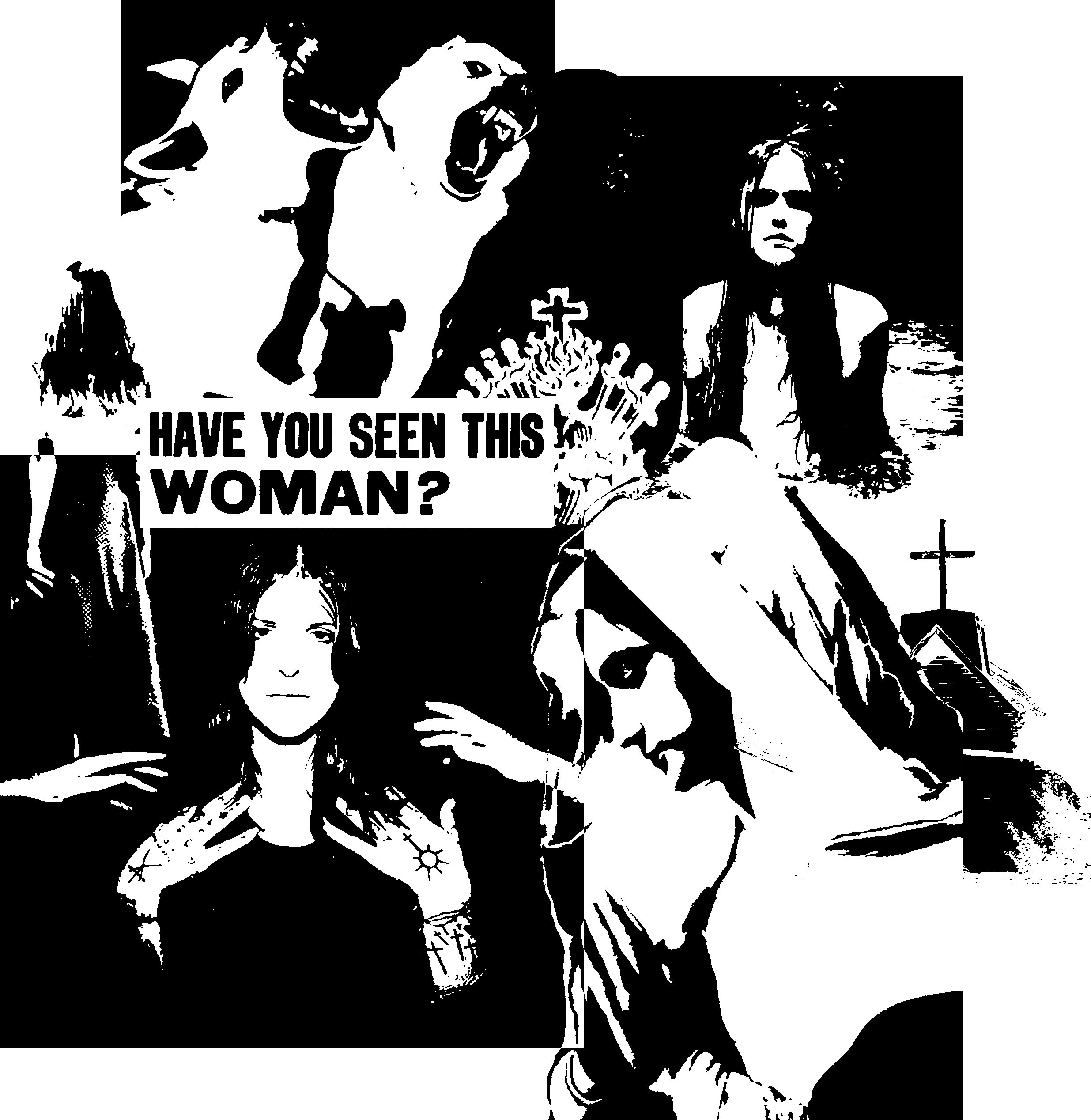 haveyouseenthiswoman.jpg