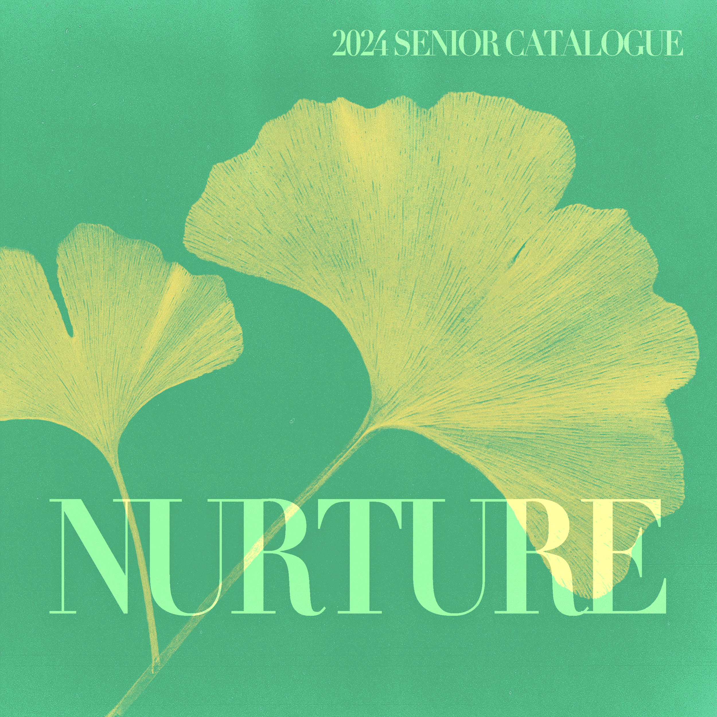 seniorcover3.png