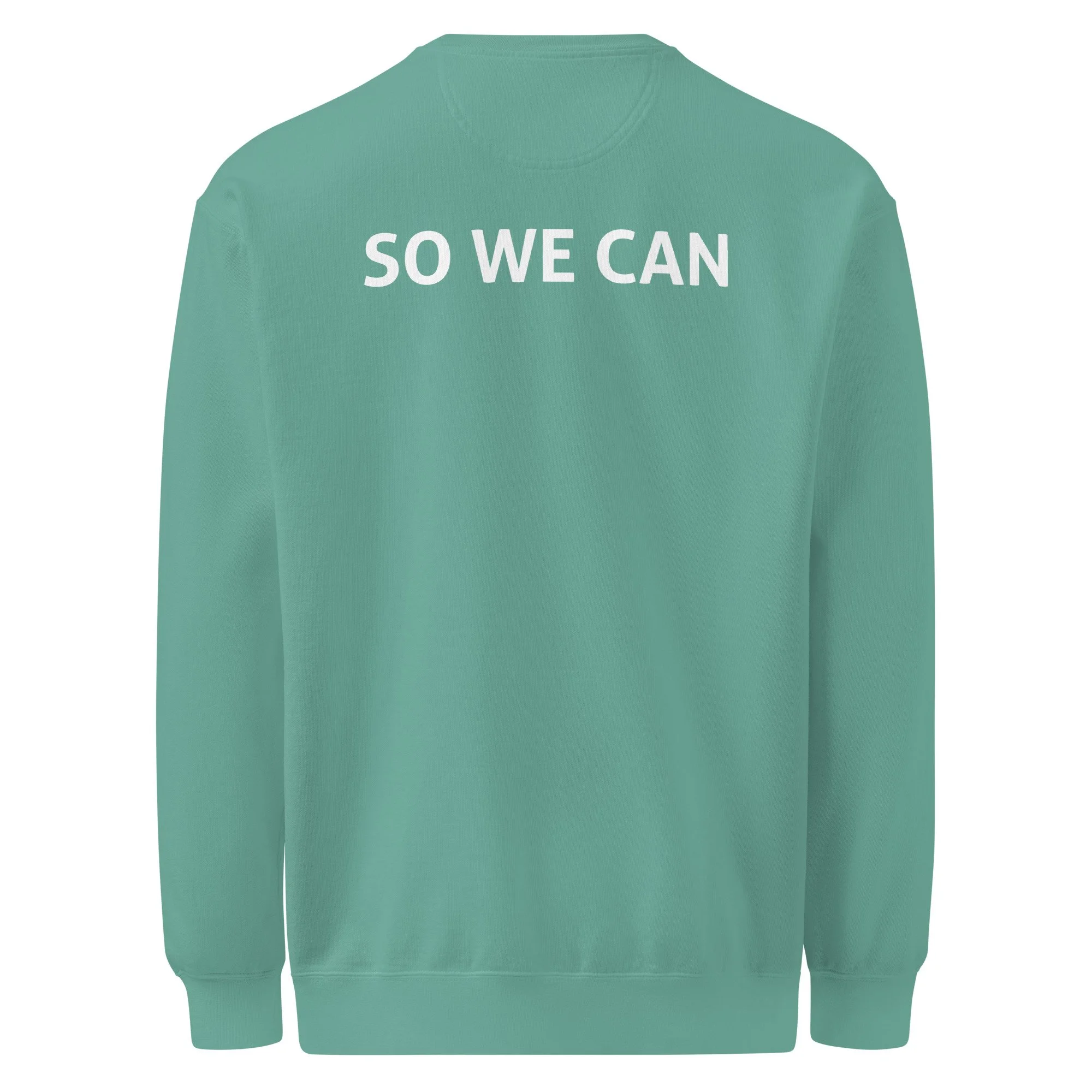 unisex-garment-dyed-sweatshirt-seafoam-back-6976d42f0ca02.jpg