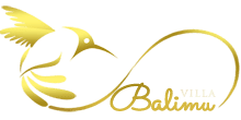Villa Balimu Seminyak