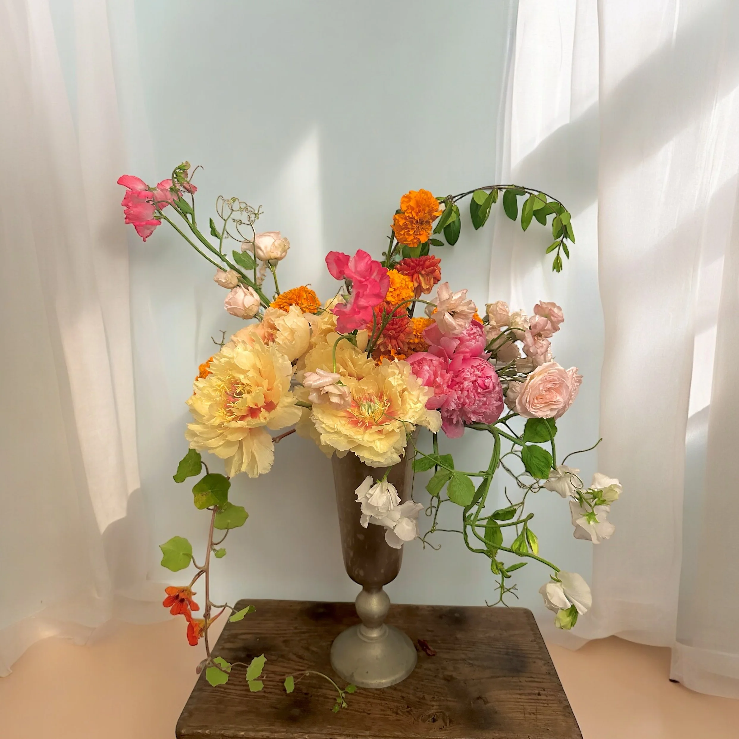 Photoroom_20240611_210834.JPG