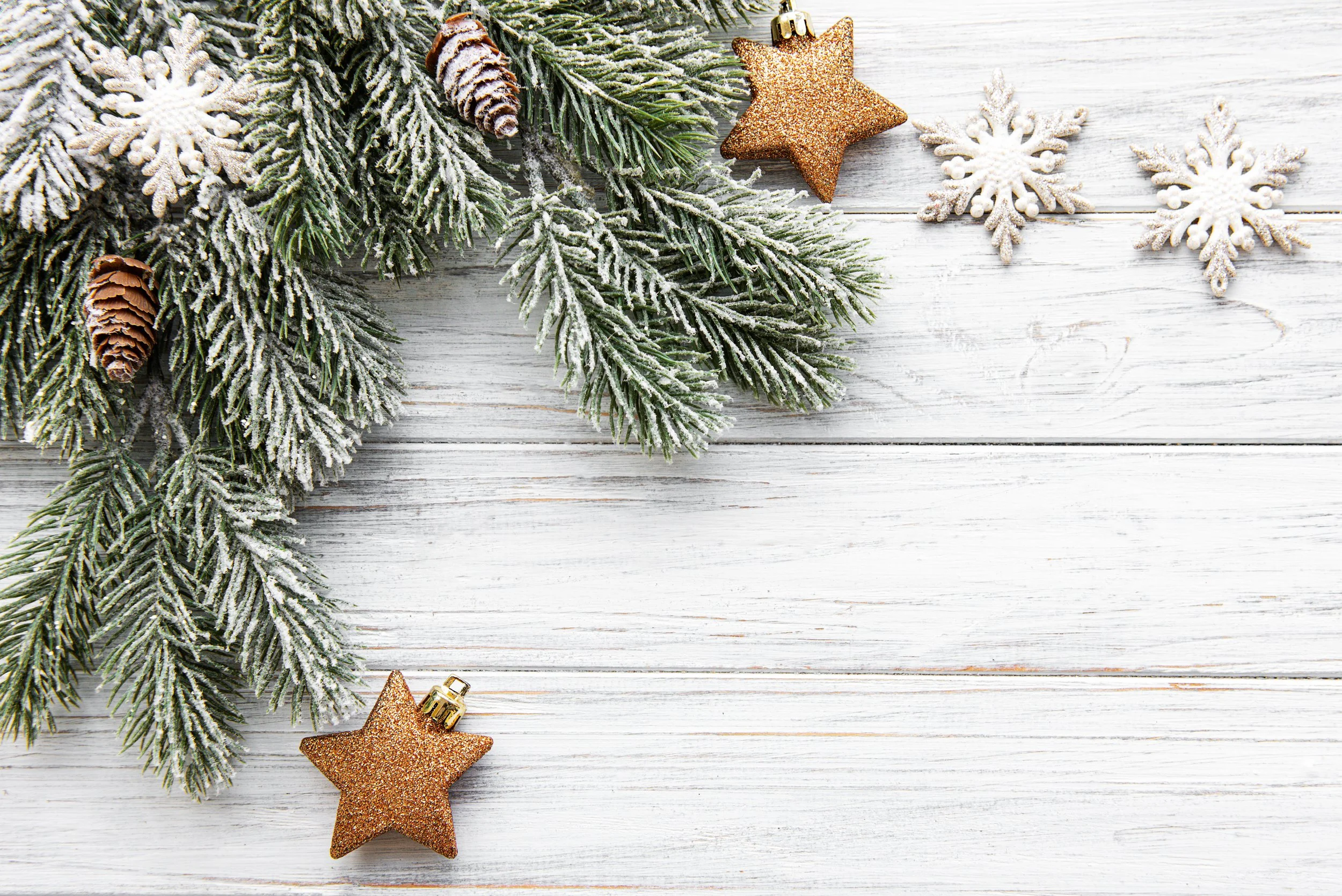 Öffnungszeiten Feiertage 2025/2026