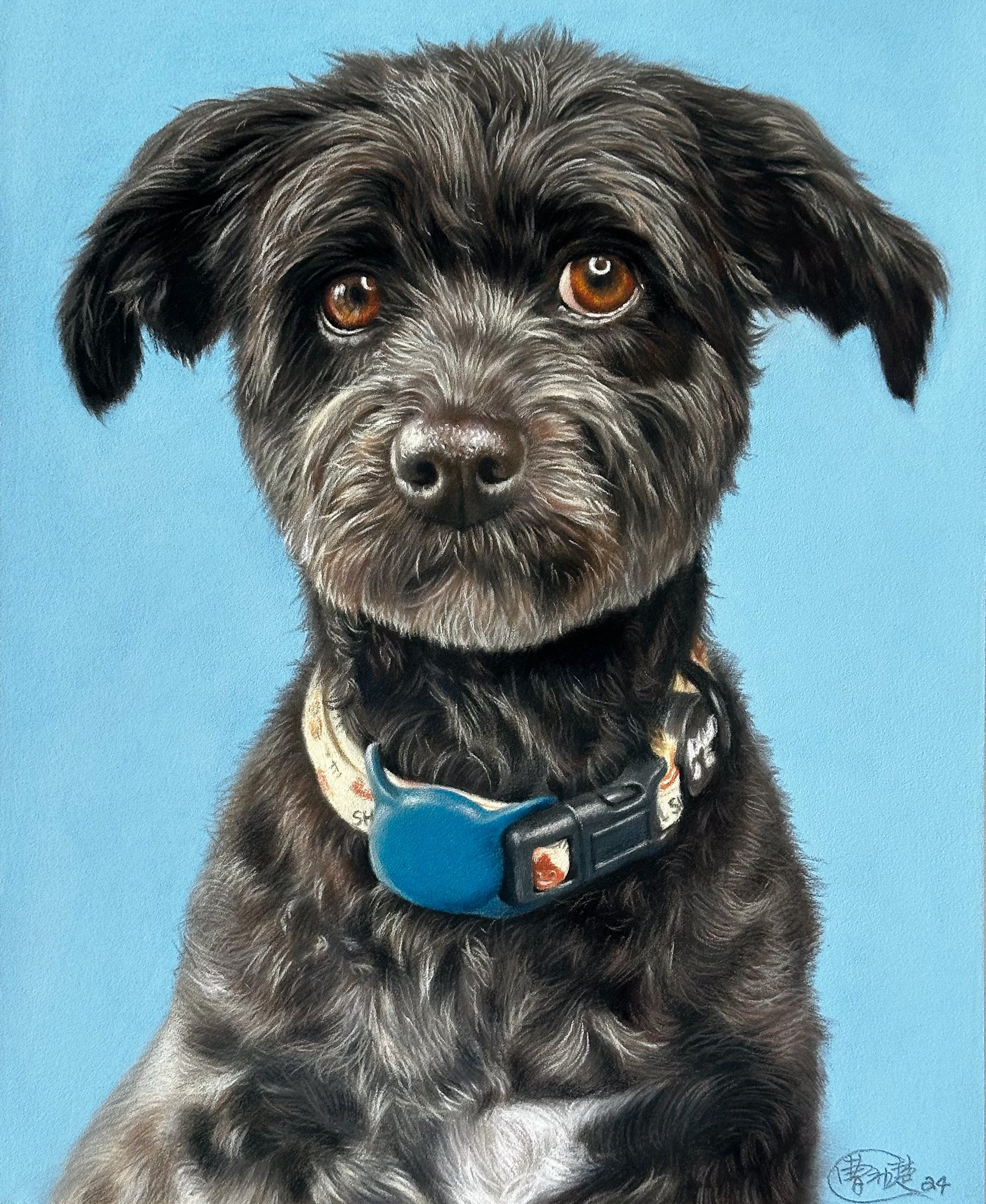"Max" - pastel on paper