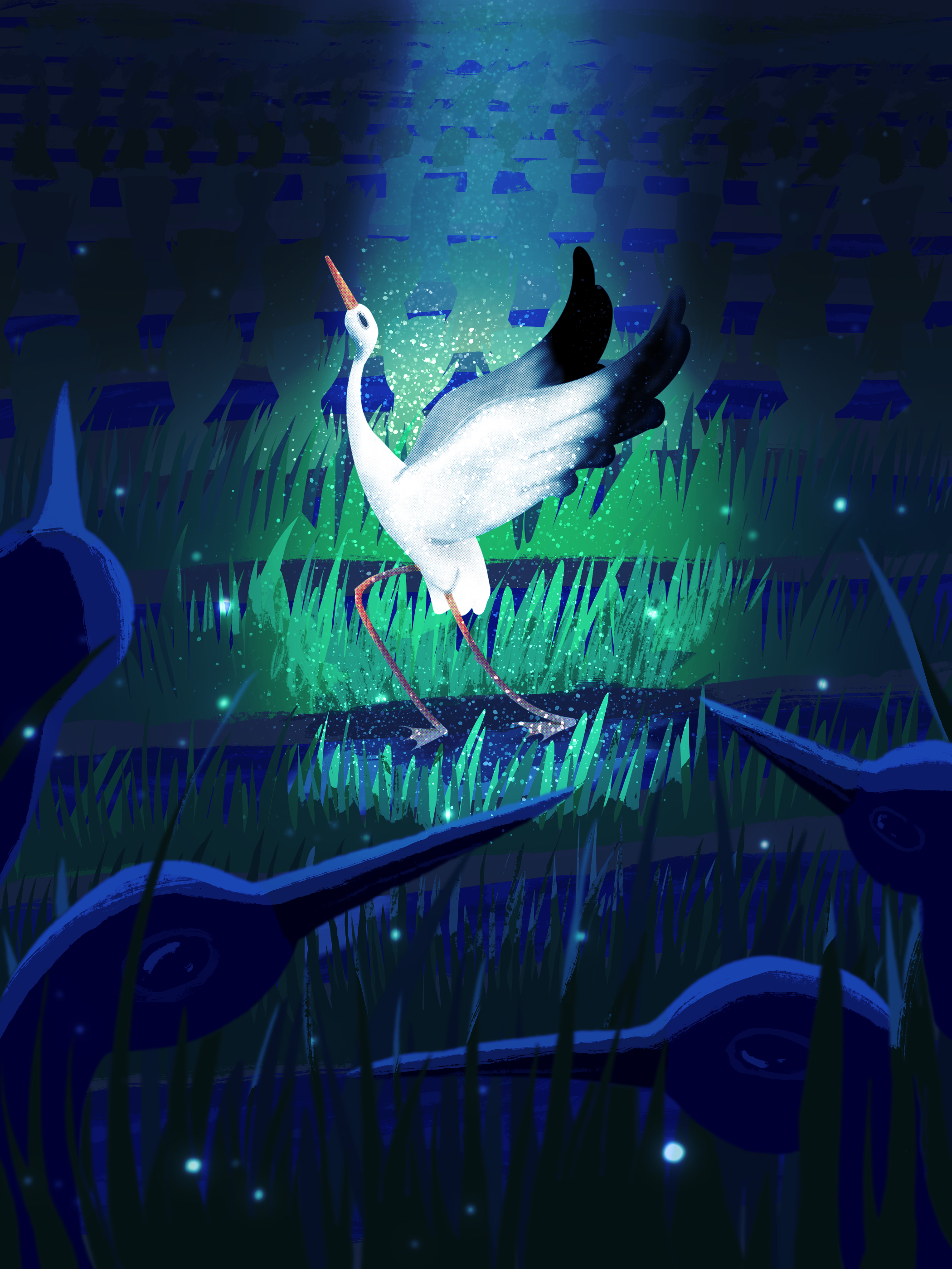 Cranes stalking across A half harvested rice field The village autumn -Basho 
