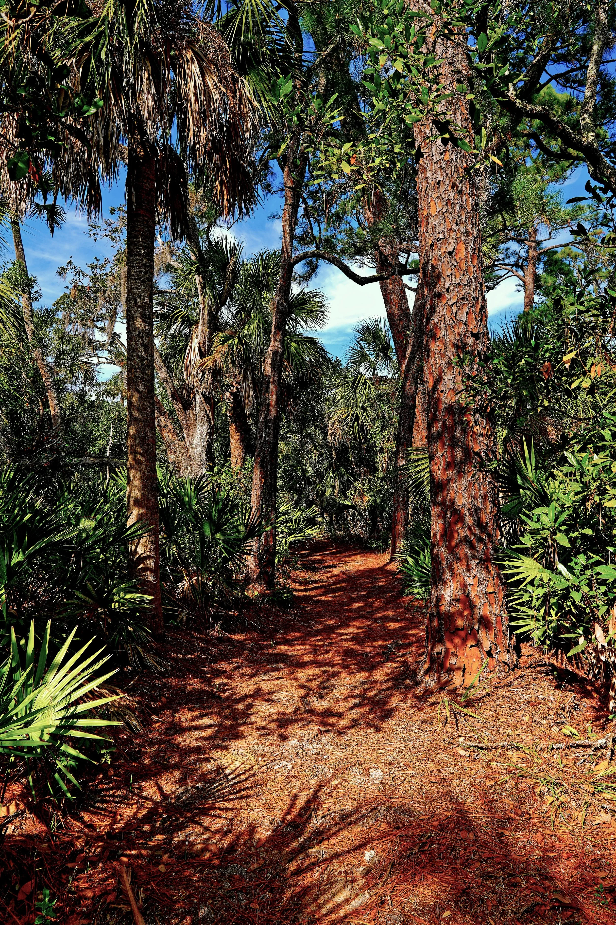 DSC07541 color fix.jpg