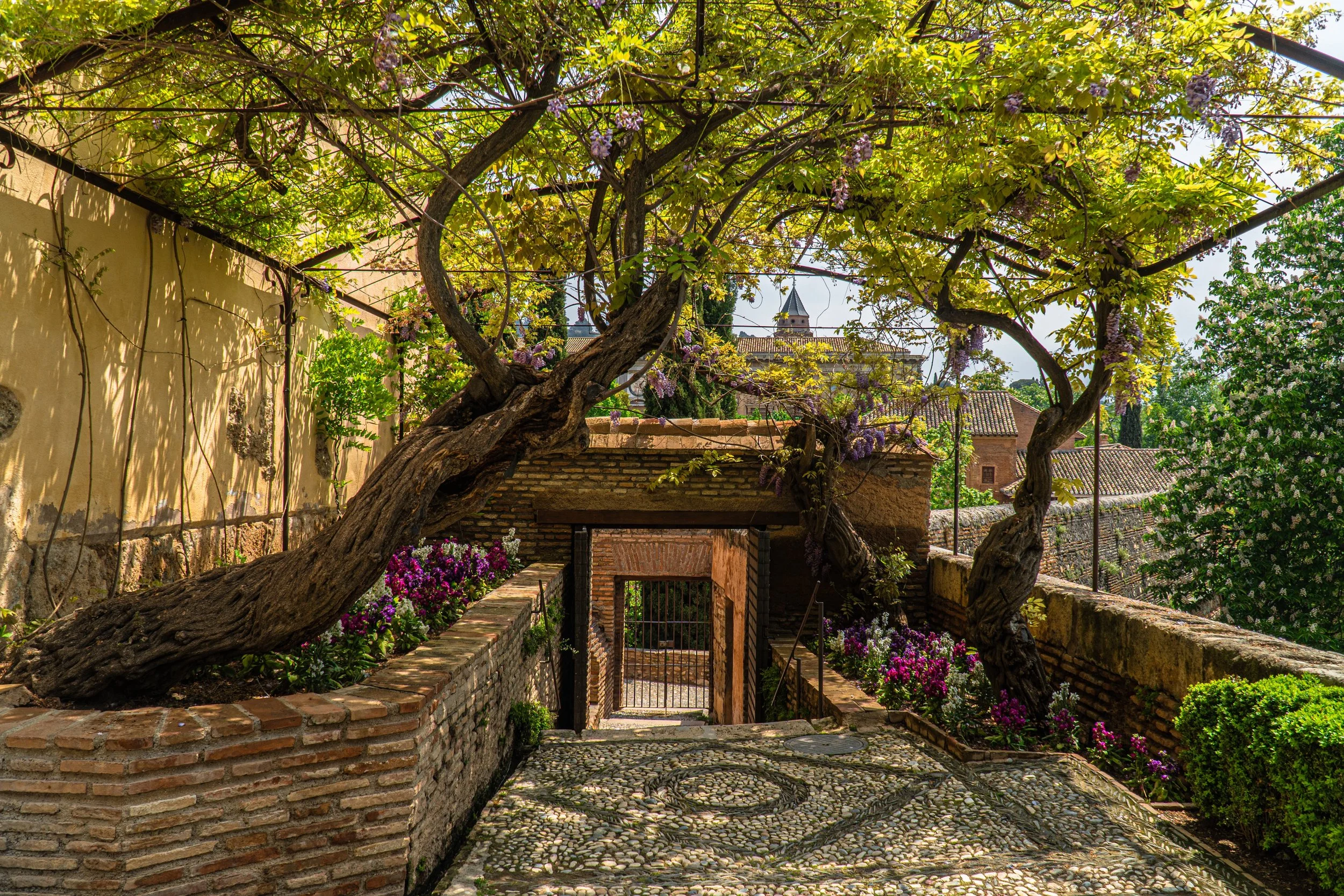 Alhambra Gardens copy.jpeg