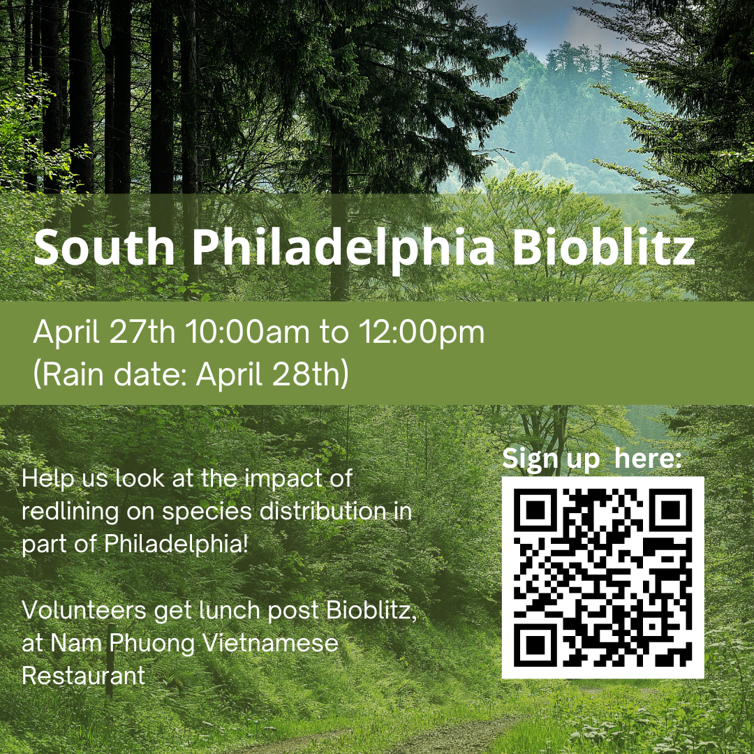 South Philly Bioblitz