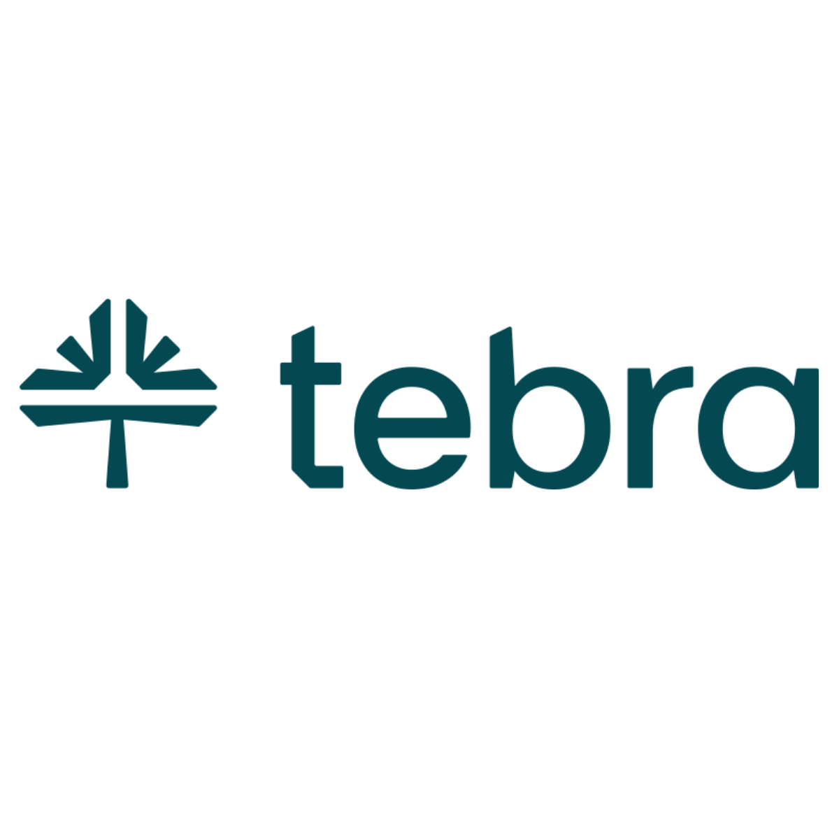 Tebra Logo.png