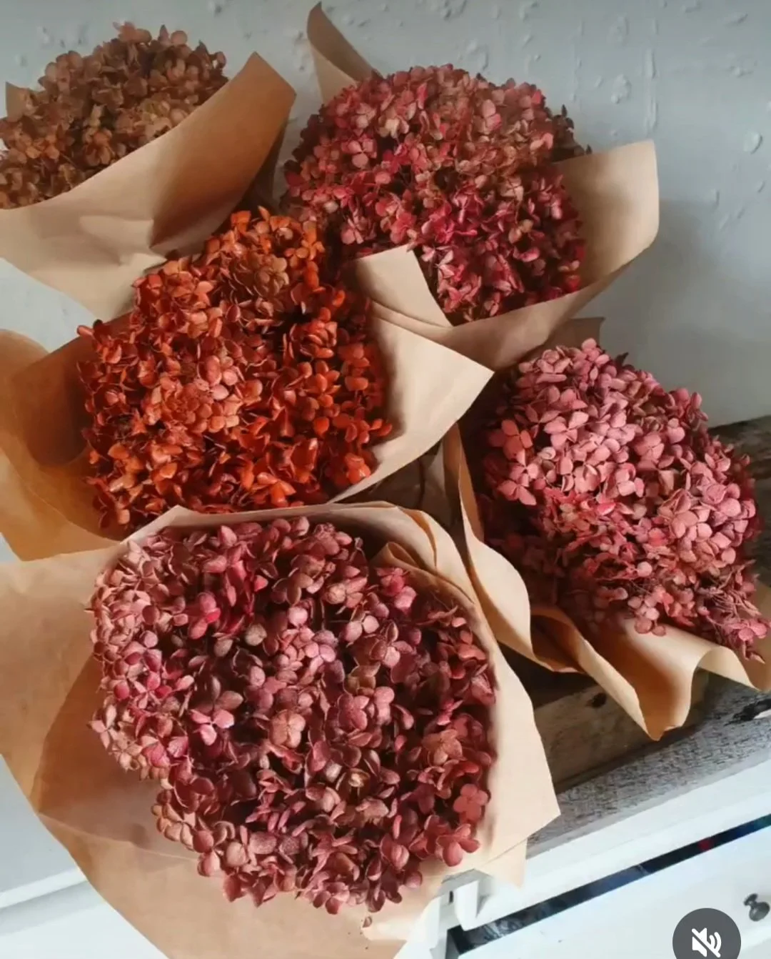 Dried Flowers | Australian Natives