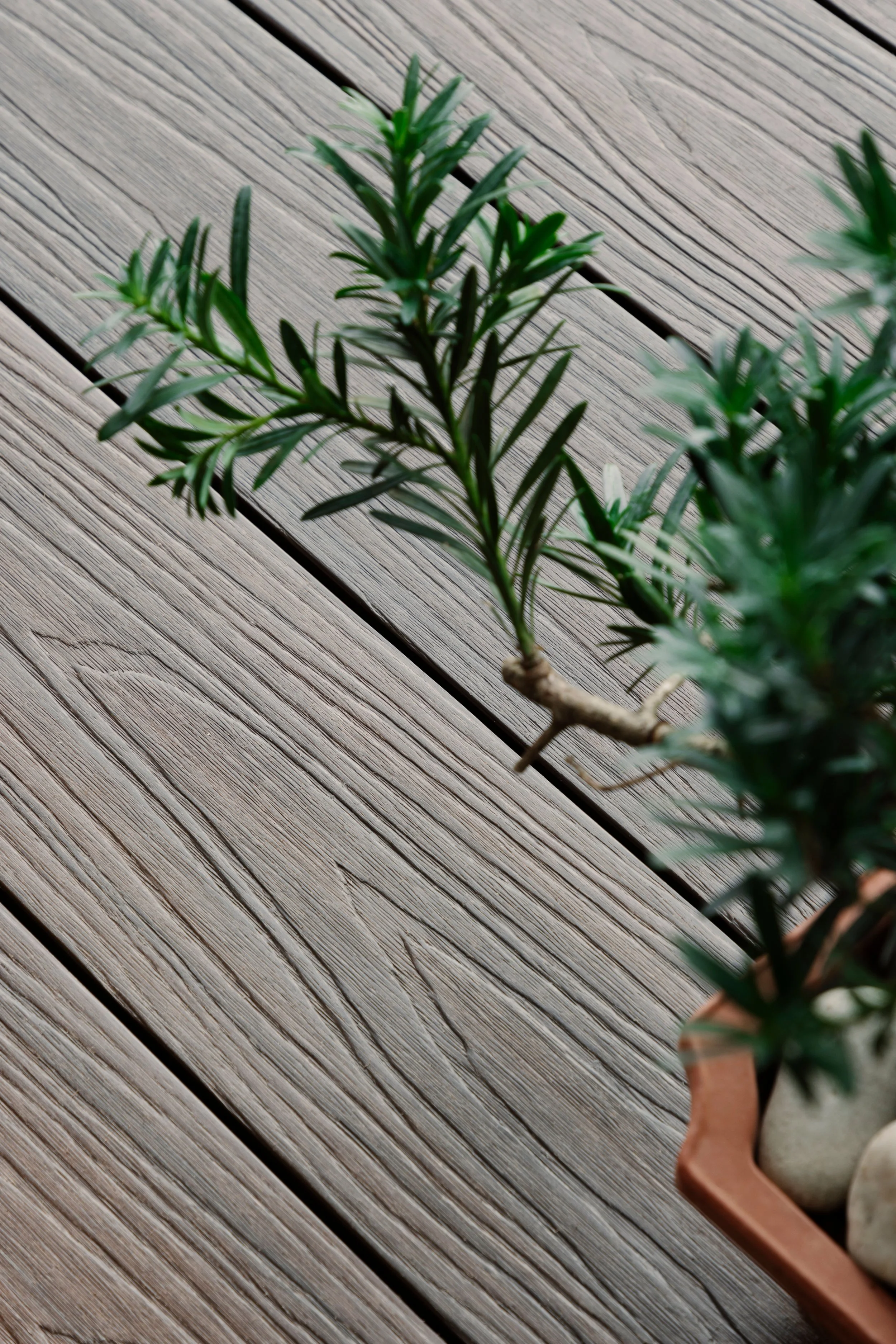 Close-up of textured outdoor decking with potted greenery, showcasing natural wood-look finish for modern balcony design.