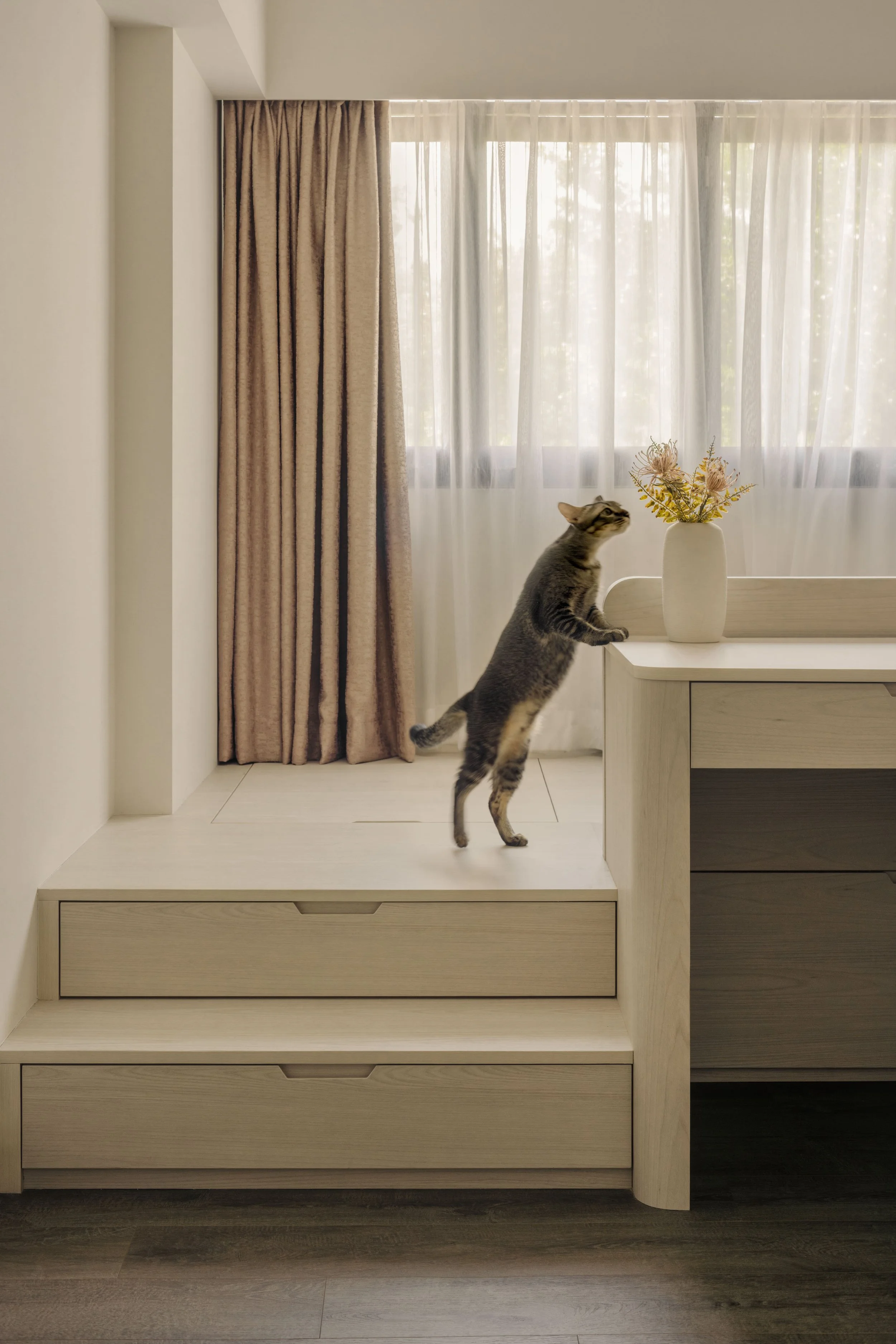 Compact bedroom platform design with integrated storage drawers and a cat standing near a vase on the raised ledge.
