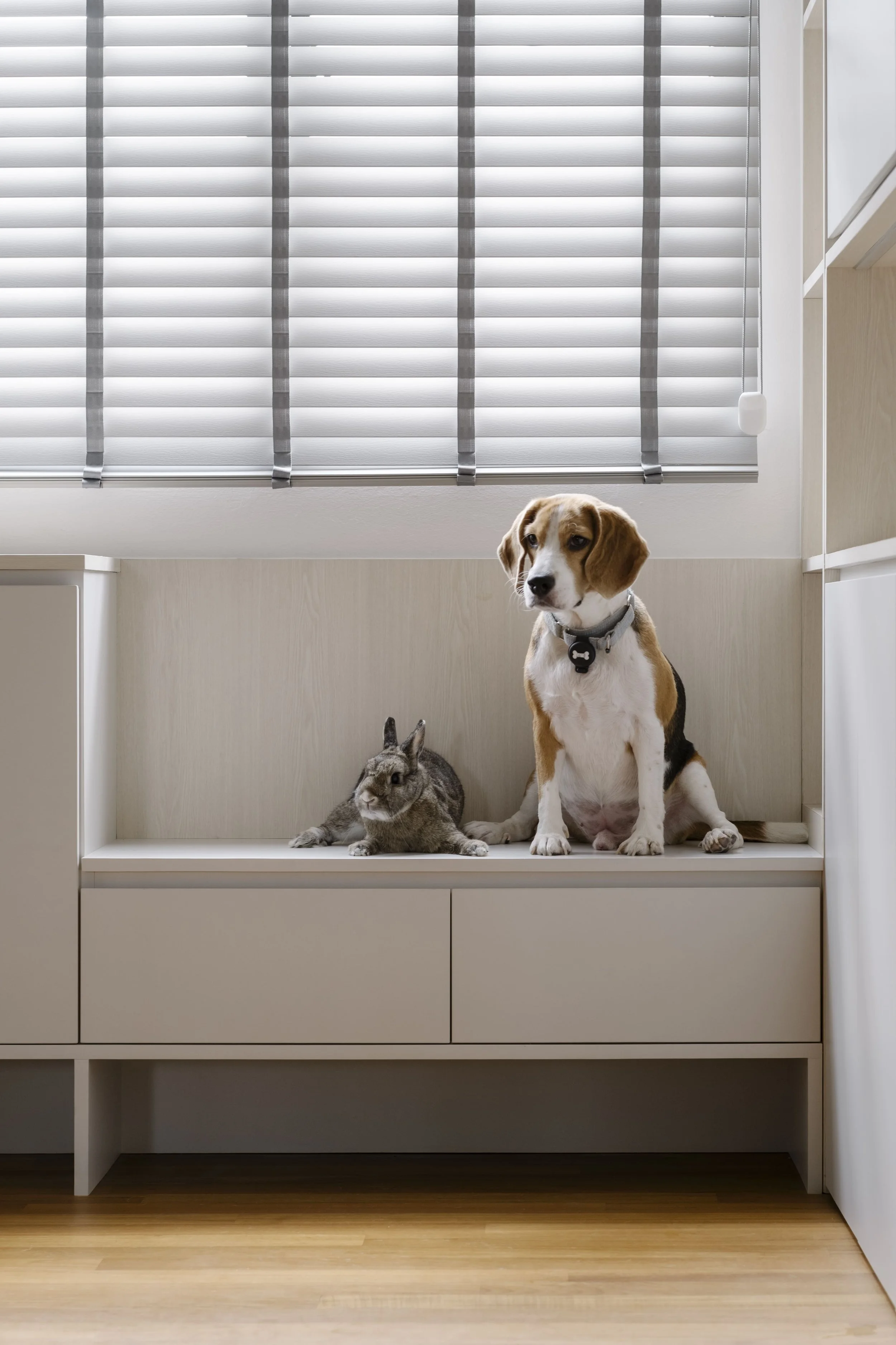 Pet-friendly Singapore home with custom window bench and built-in storage.