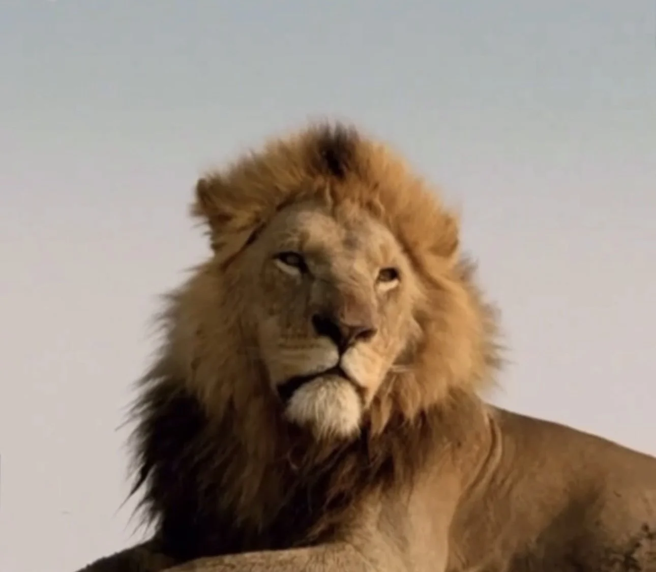 Gentleness &amp; self-control