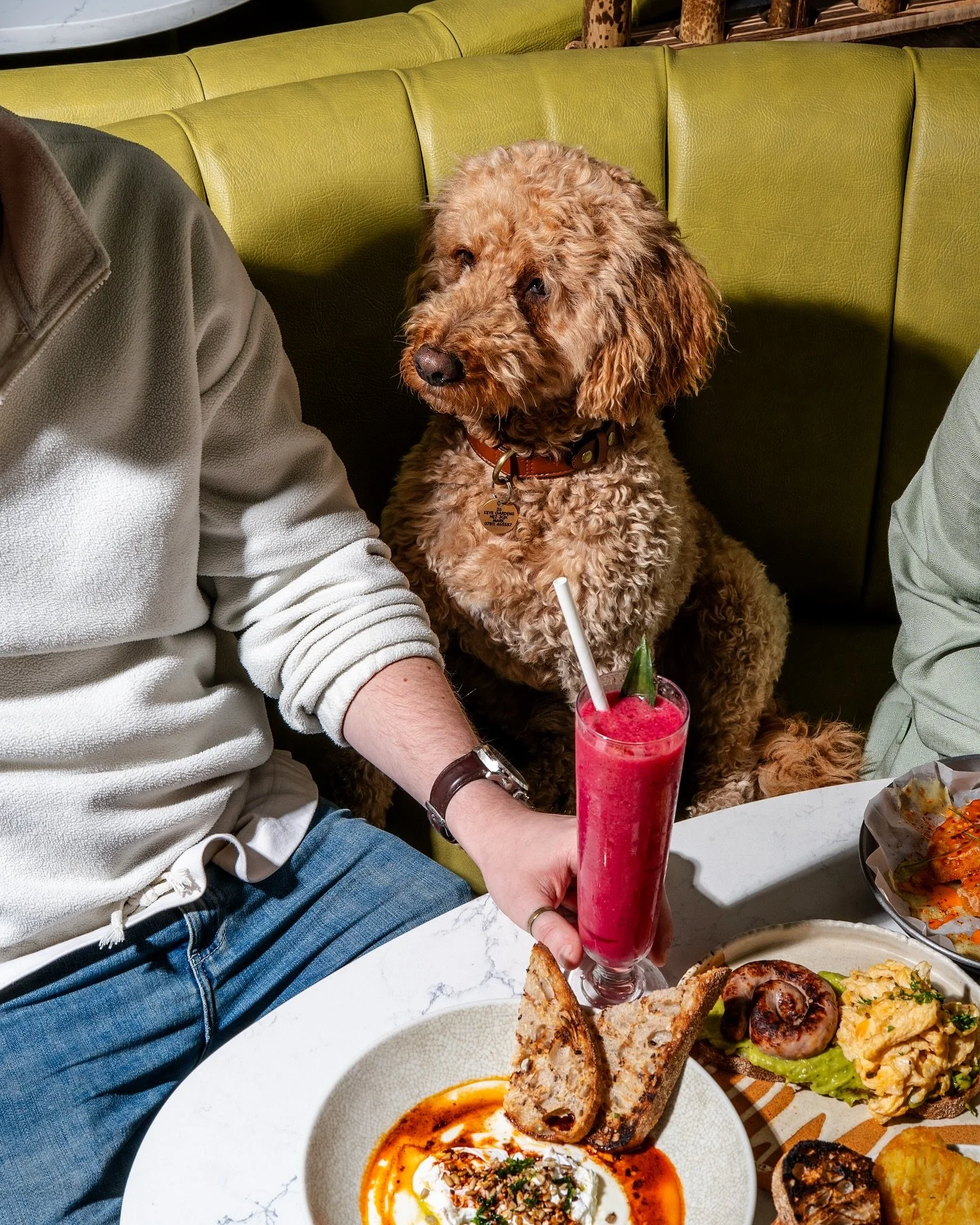 Theo enjoys the media shoots a little too much 😂

Here&rsquo;s him at the latest breakfast shoot.