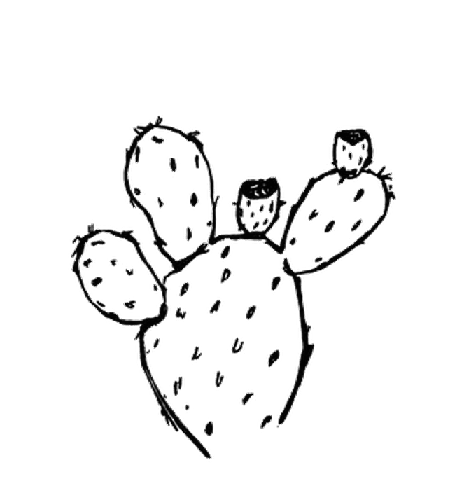 Dimore Opuntia