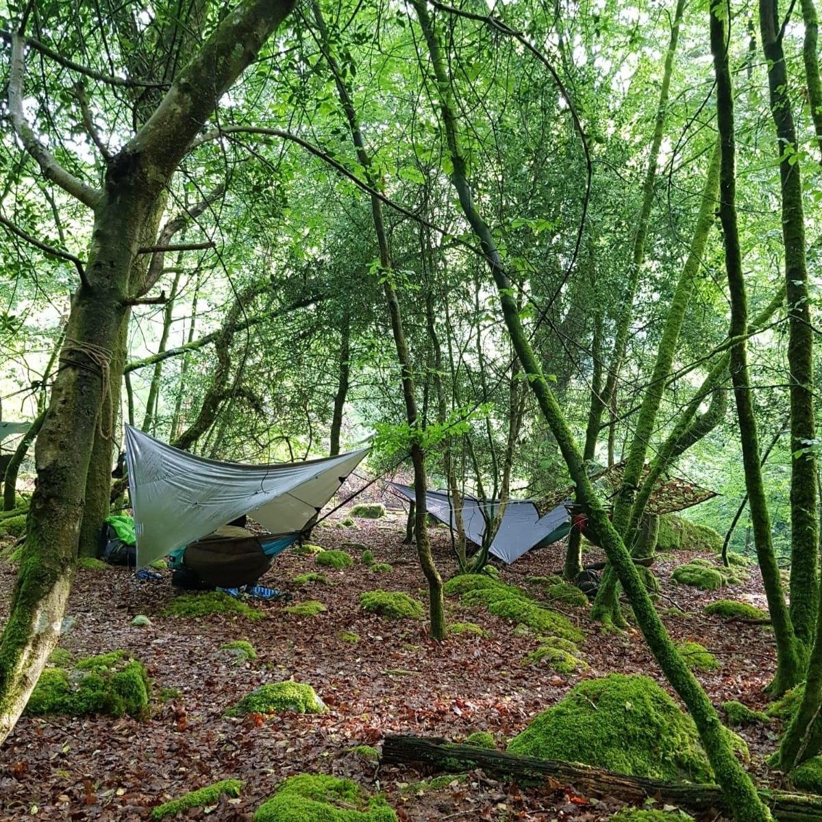 Selva+Alta+campsite.jpg