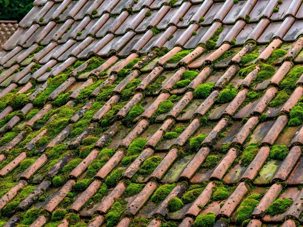 Most Common Roofing Problems in Older Surrey Properties