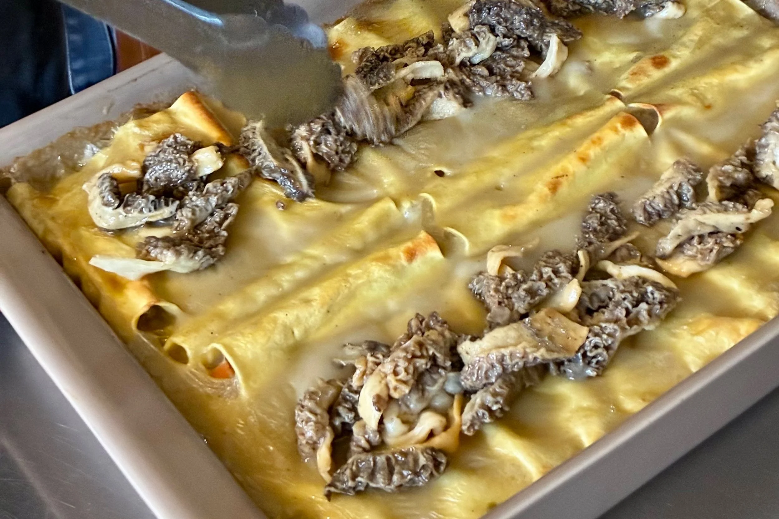 Karin Desveaux's Beef Cannelloni
