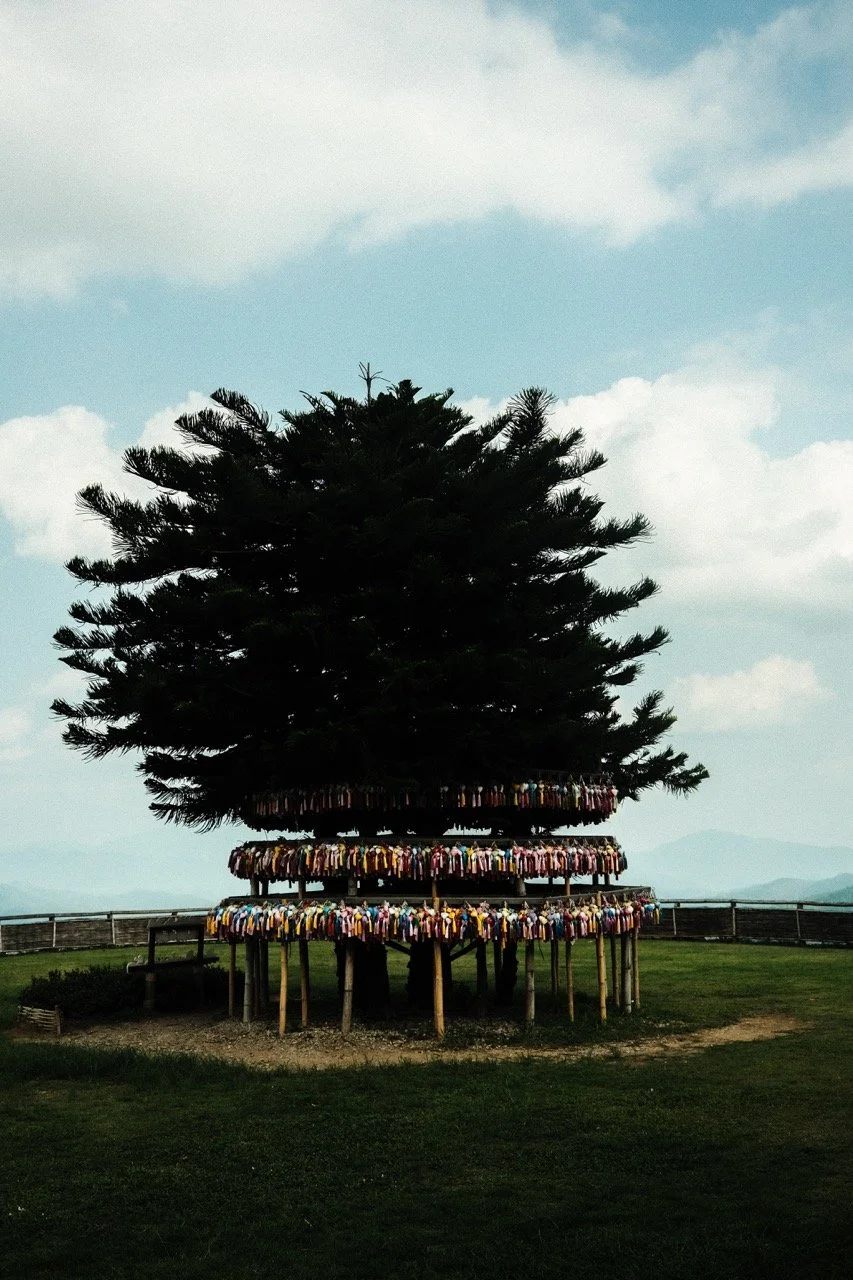 Pai-36 - Grande.jpeg