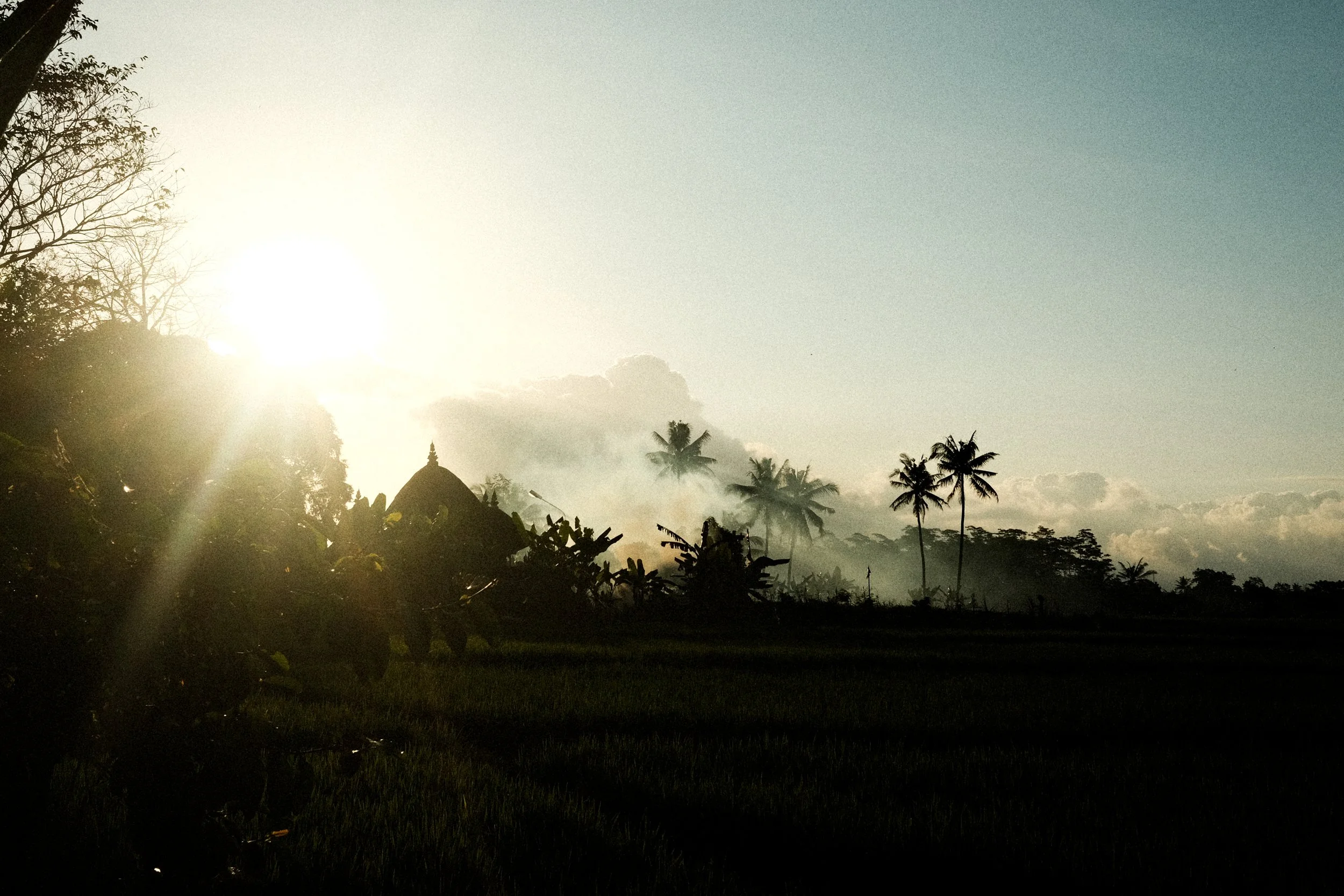 ubud-3.jpg