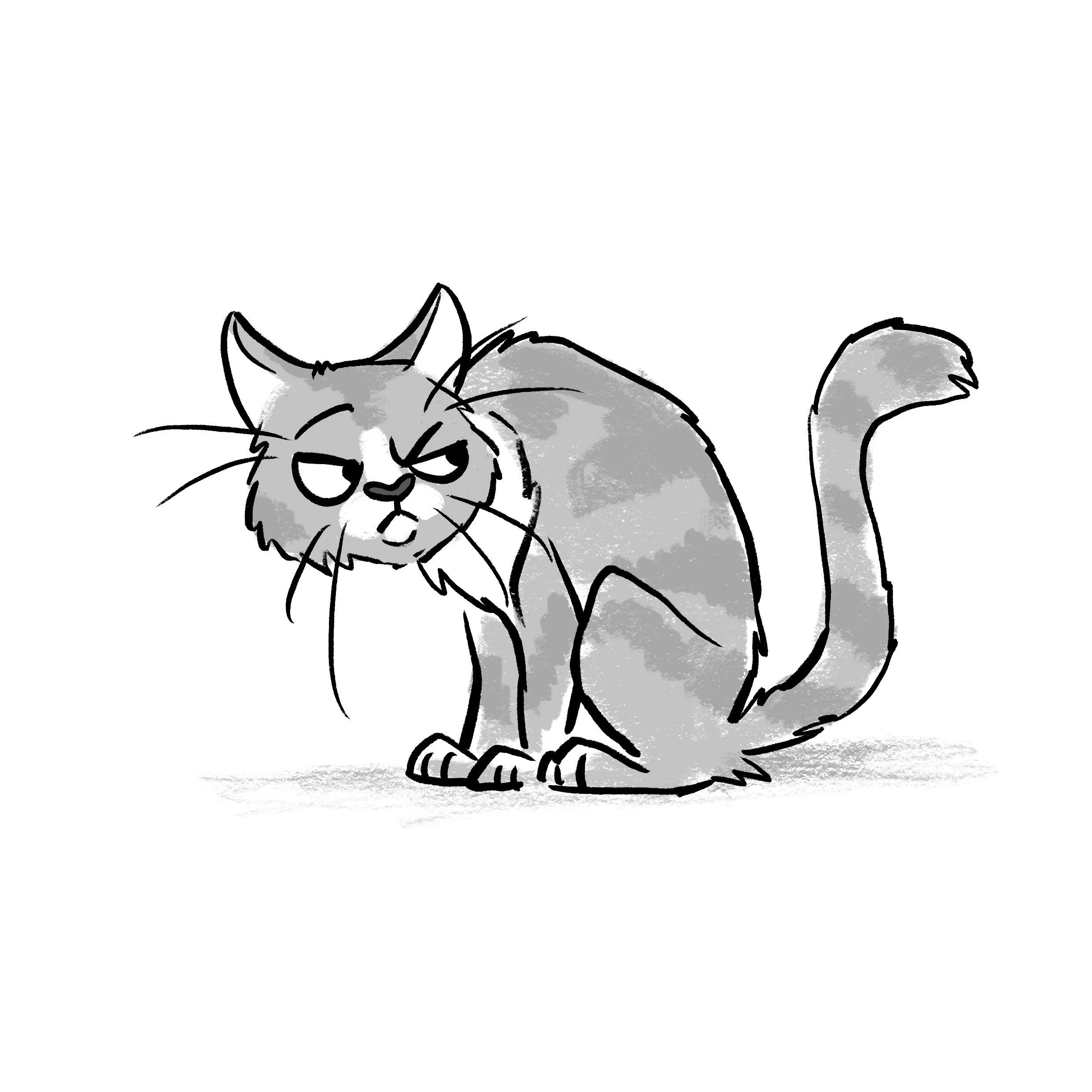 Copy of Grumpy_Cat.jpeg