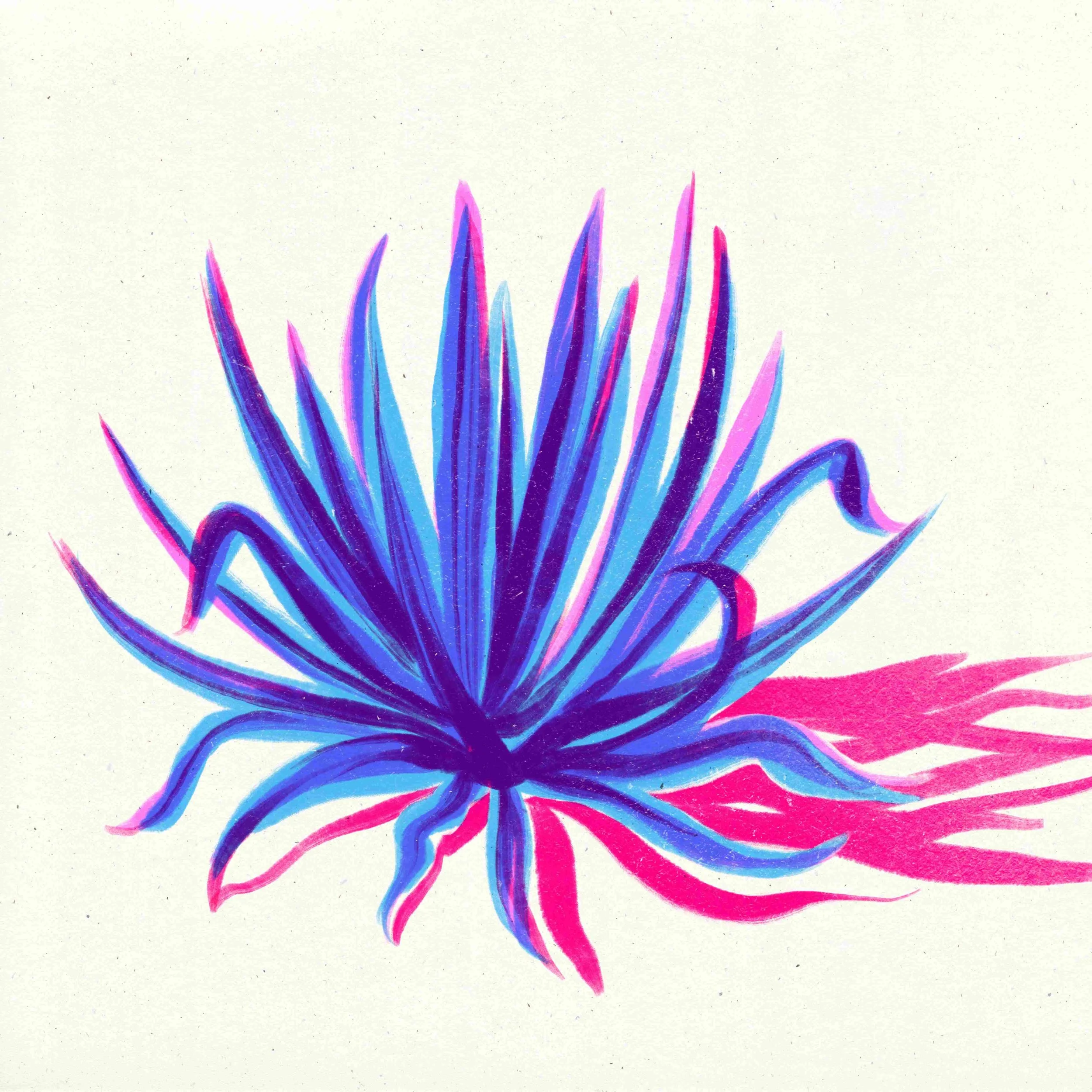 Untitled_Artwork 1(2).jpg