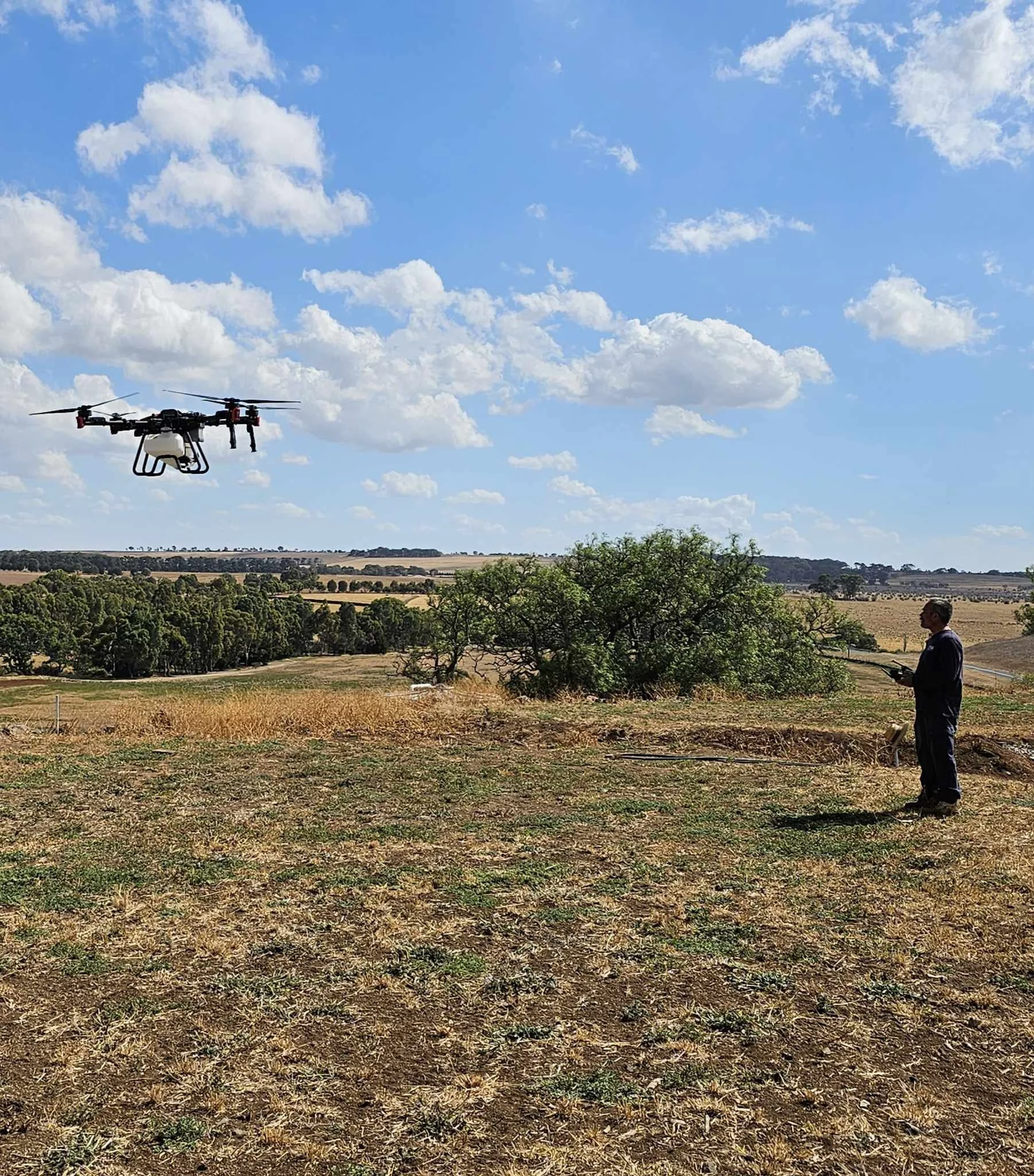 333f32da-9e02-4050-b93c-c835b1c4a954.jfif