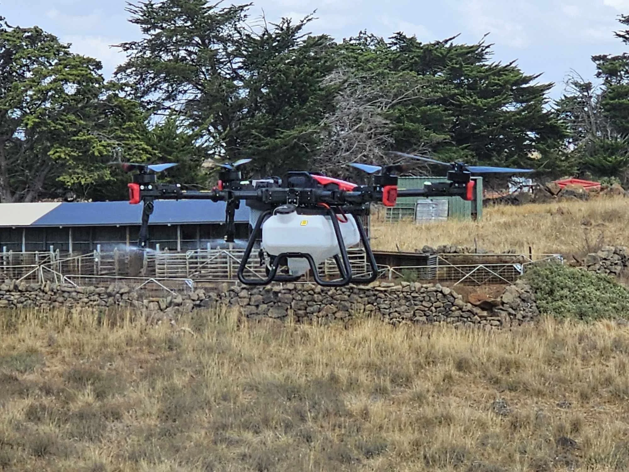 3a69a664-aeb2-4145-8ca8-7110dbc4d872.jfif