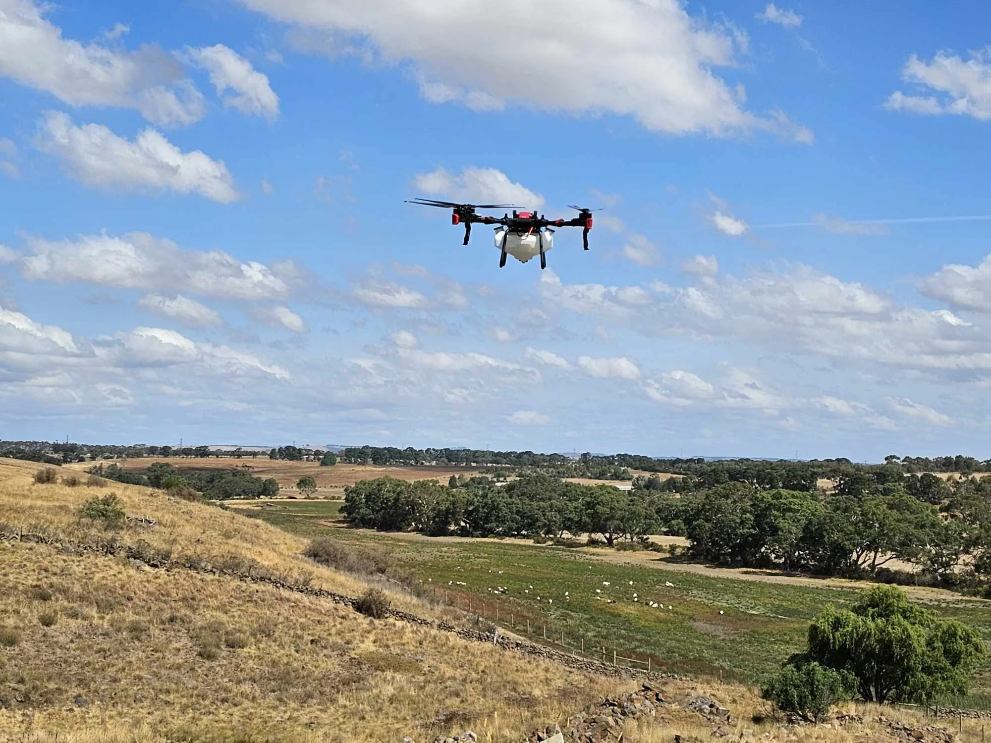 fd6b2ee1-058c-4e9e-a819-11474366513f.jfif