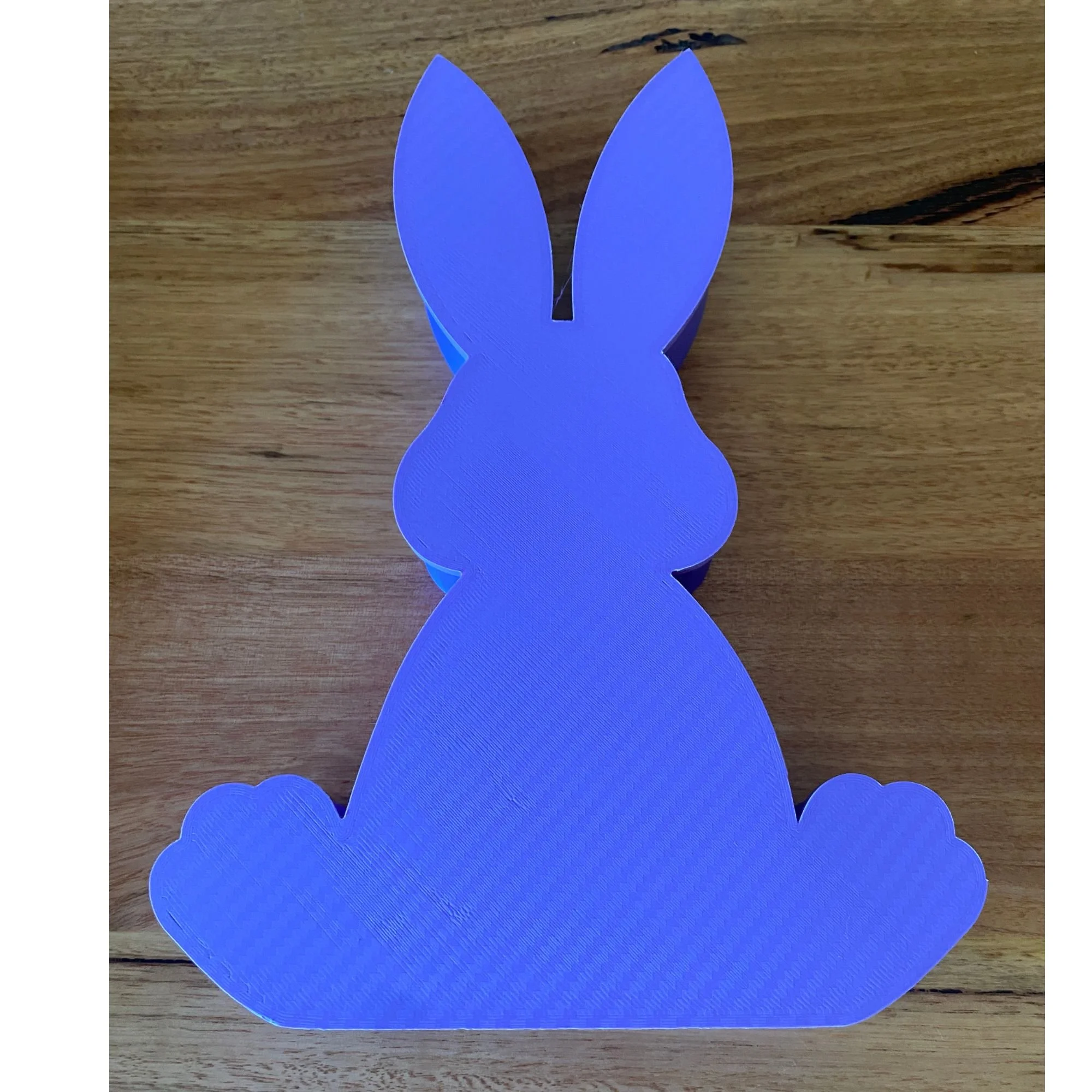 Rear of bunny tray.jpg