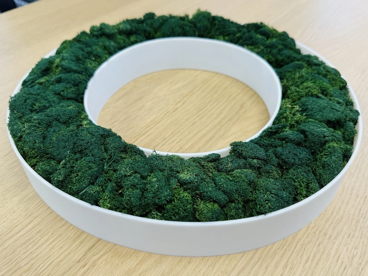 A circular decorative wreath made of dried green moss, placed on a white plastic surface.