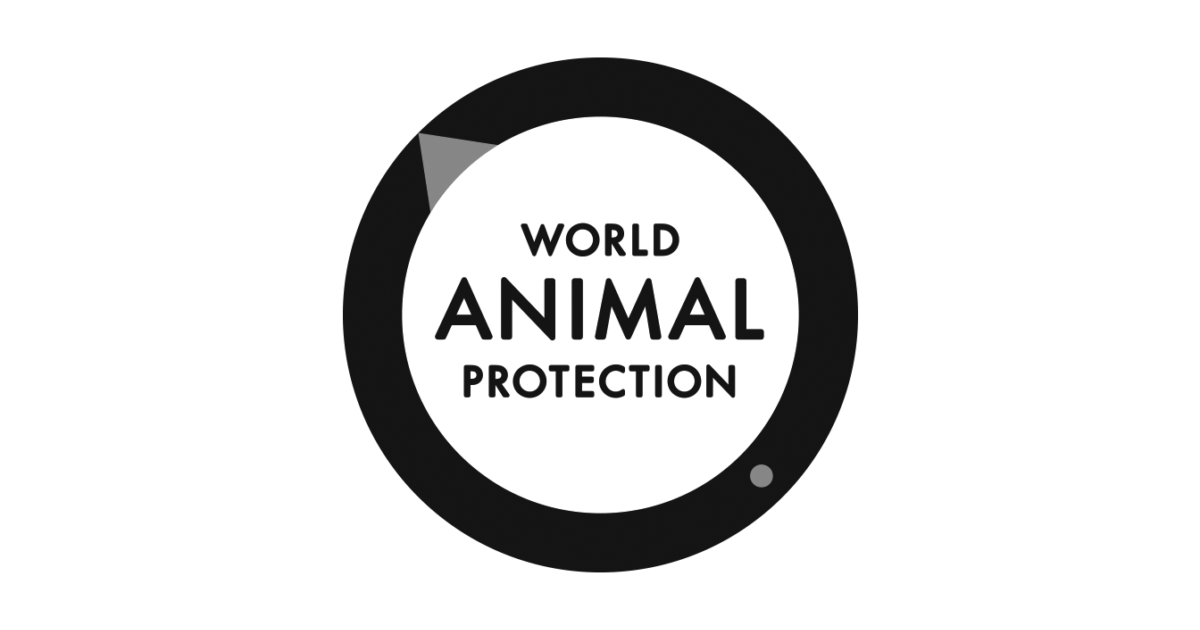 Black circular logo with a small grey dot, containing the text "World Animal Protection" in the center.