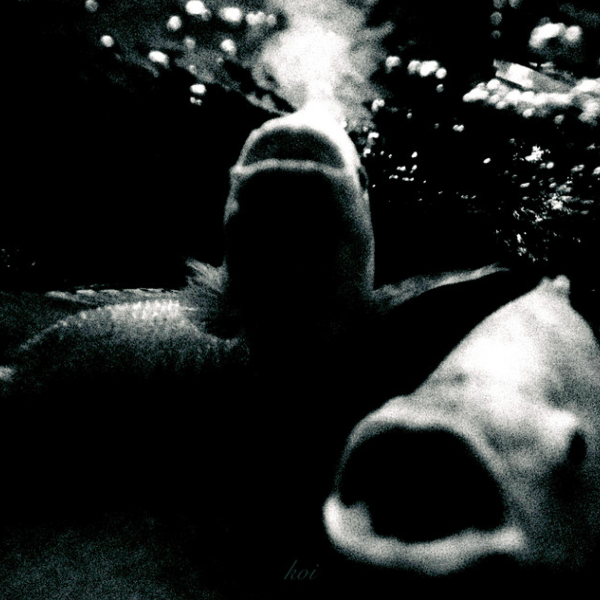 Koi EP - Airline - Assistant Recording Engineer