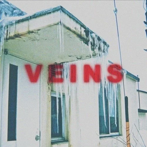 VEINS - ADORER - Assistant Engineer