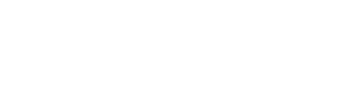Northern Pain Centre Logo.