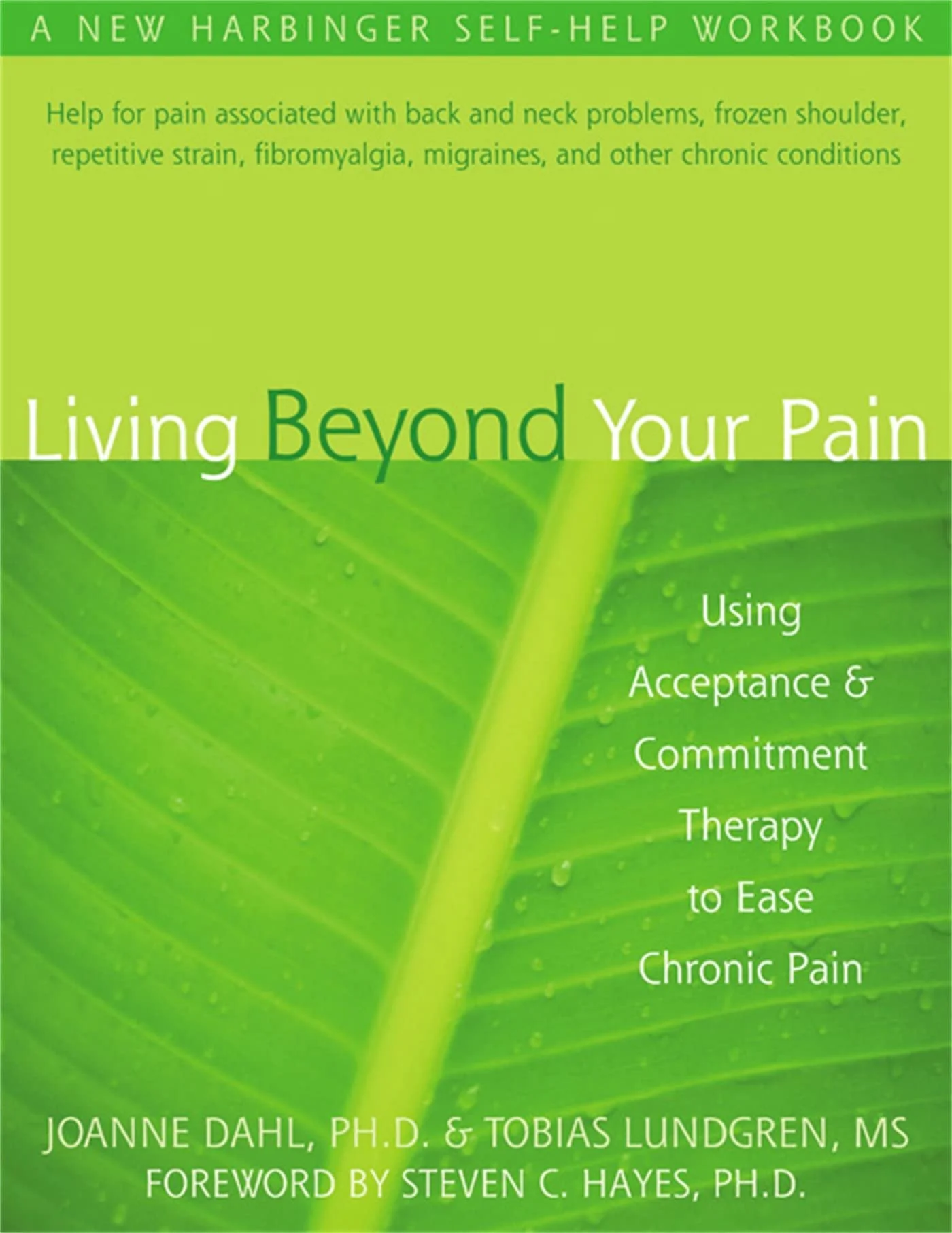 The book cover for Living Beyond Your Pain.