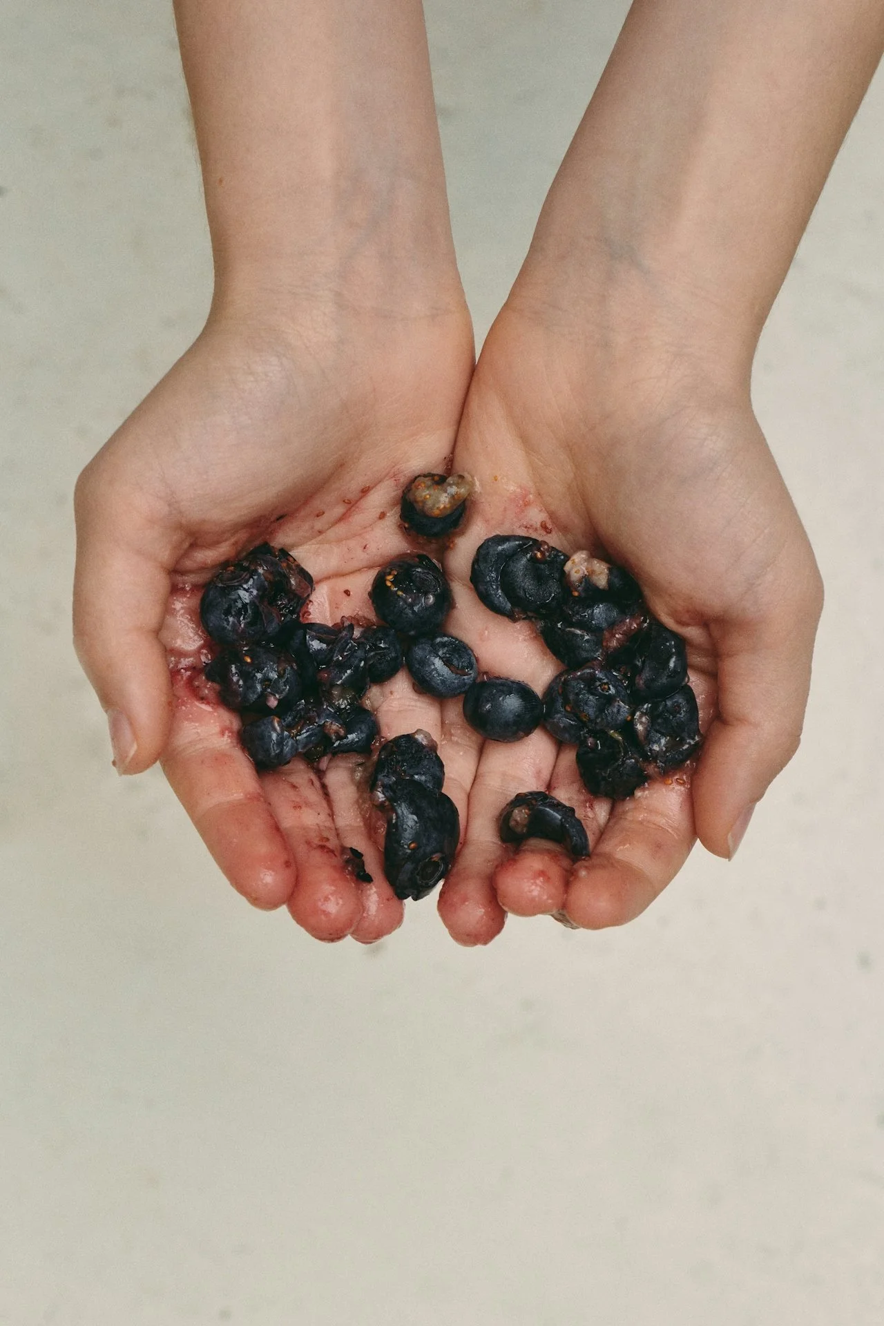 Blueberries

A functional food abundant in bioactive compounds like polyphenols, flavonoids, and ellagic acid, recognised for their antioxidant and anti-inflammatory properties. 

These compounds not only reduce oxidative stress and support cardiovas