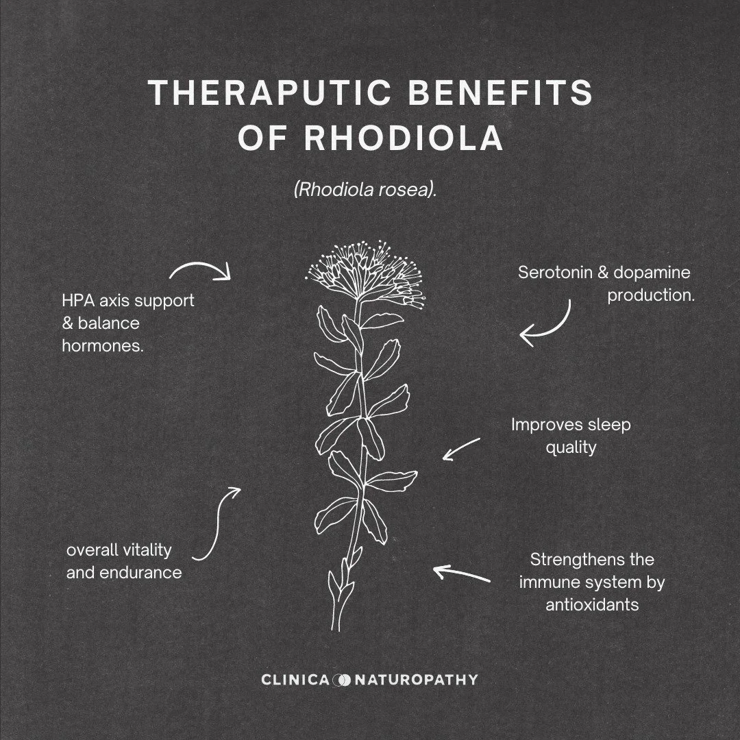Rhodiola (Rhodiola rosea) is an adaptogenic herb known for its various health benefits. Here are some of its key botanical actions:

Adaptogen: Enhances the body&rsquo;s ability to cope with stress and balance hormones by modulating the Hypothalamic-