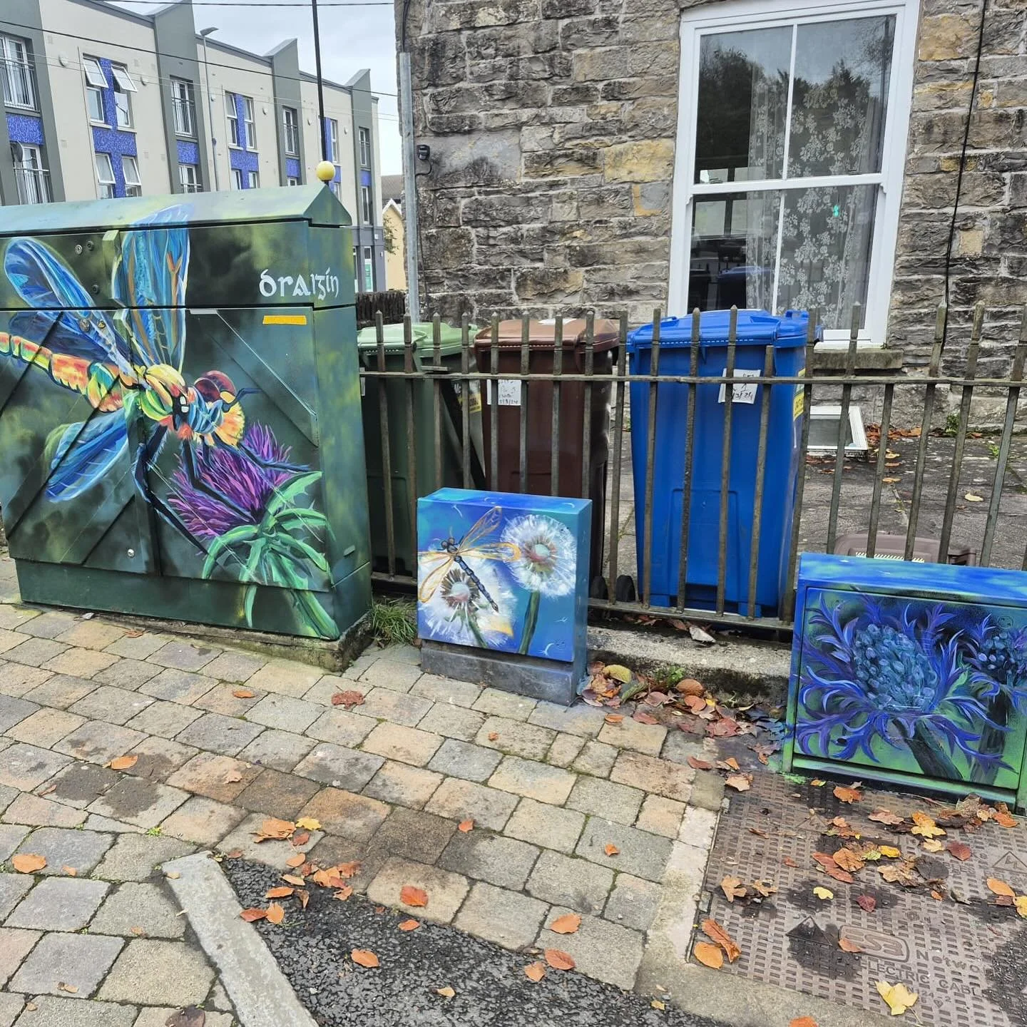 The Town Team were delighted to be able to collaborate with Monaghan Tidy Towns and sponsor artist Elaine Agnew to reimagine these electrical boxes next to the Margaret Skinnider Roundabout with her beautiful damsel fly and dandelion imagery.

🎨💜

