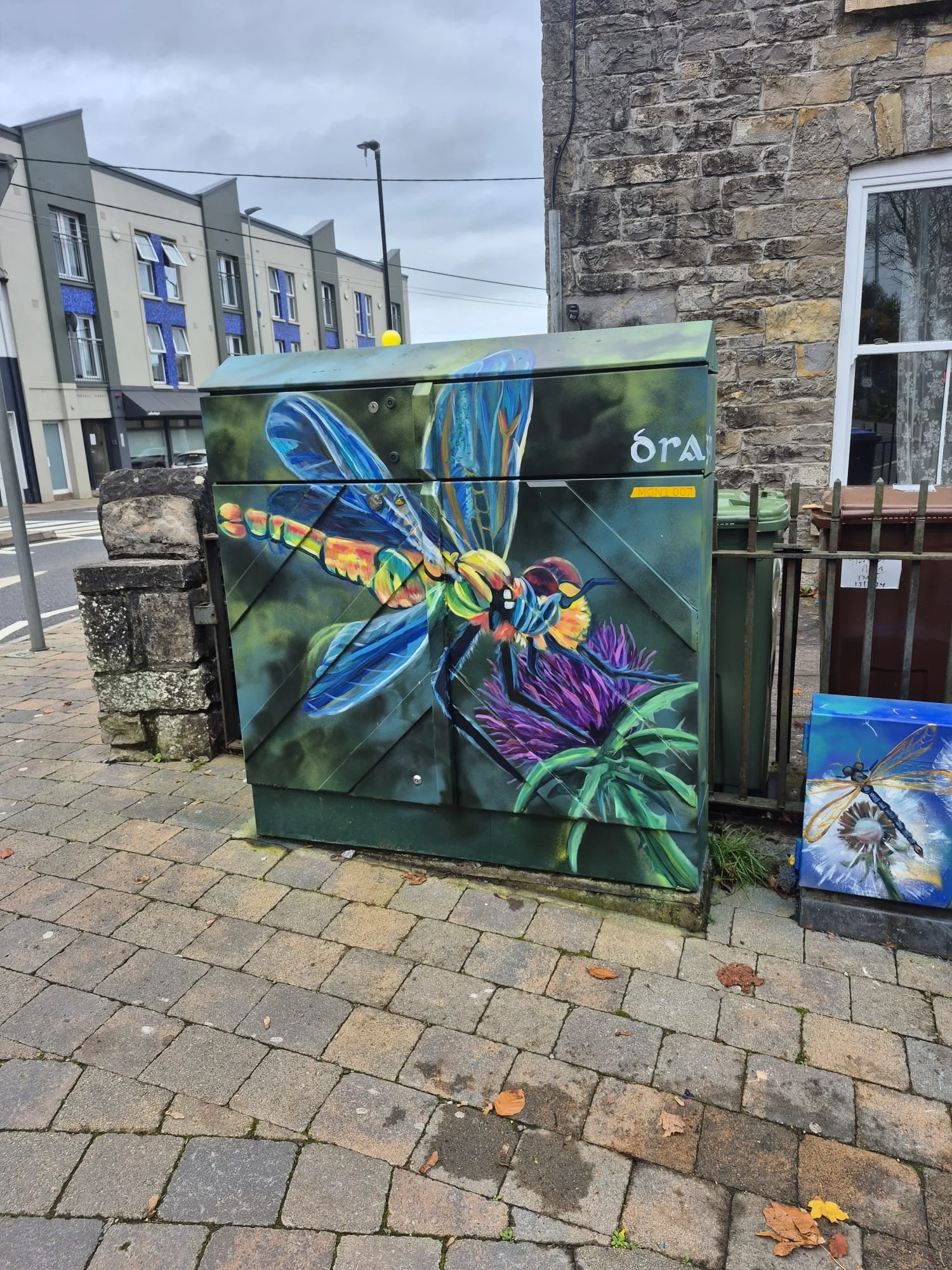 TIDY TOWN ELECTRIC BOXES PAINTED 3.jpg