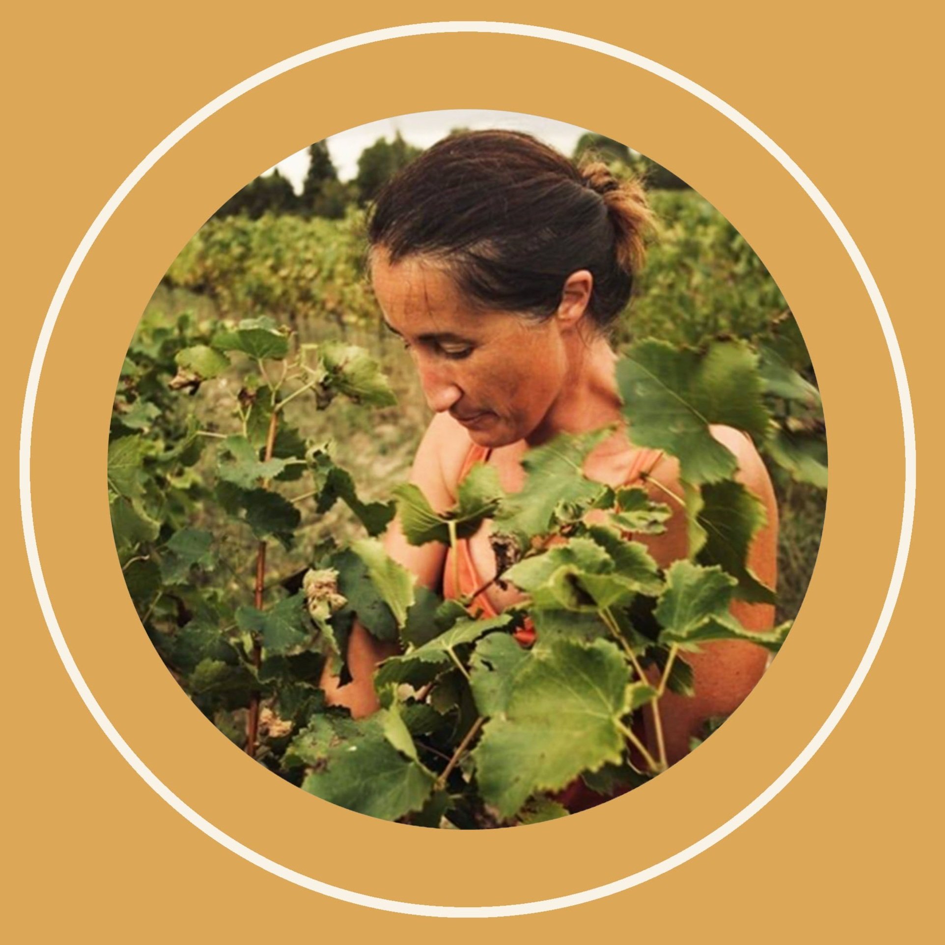 01 LAURA AILLAUDLAURA AILLAUD.jpg