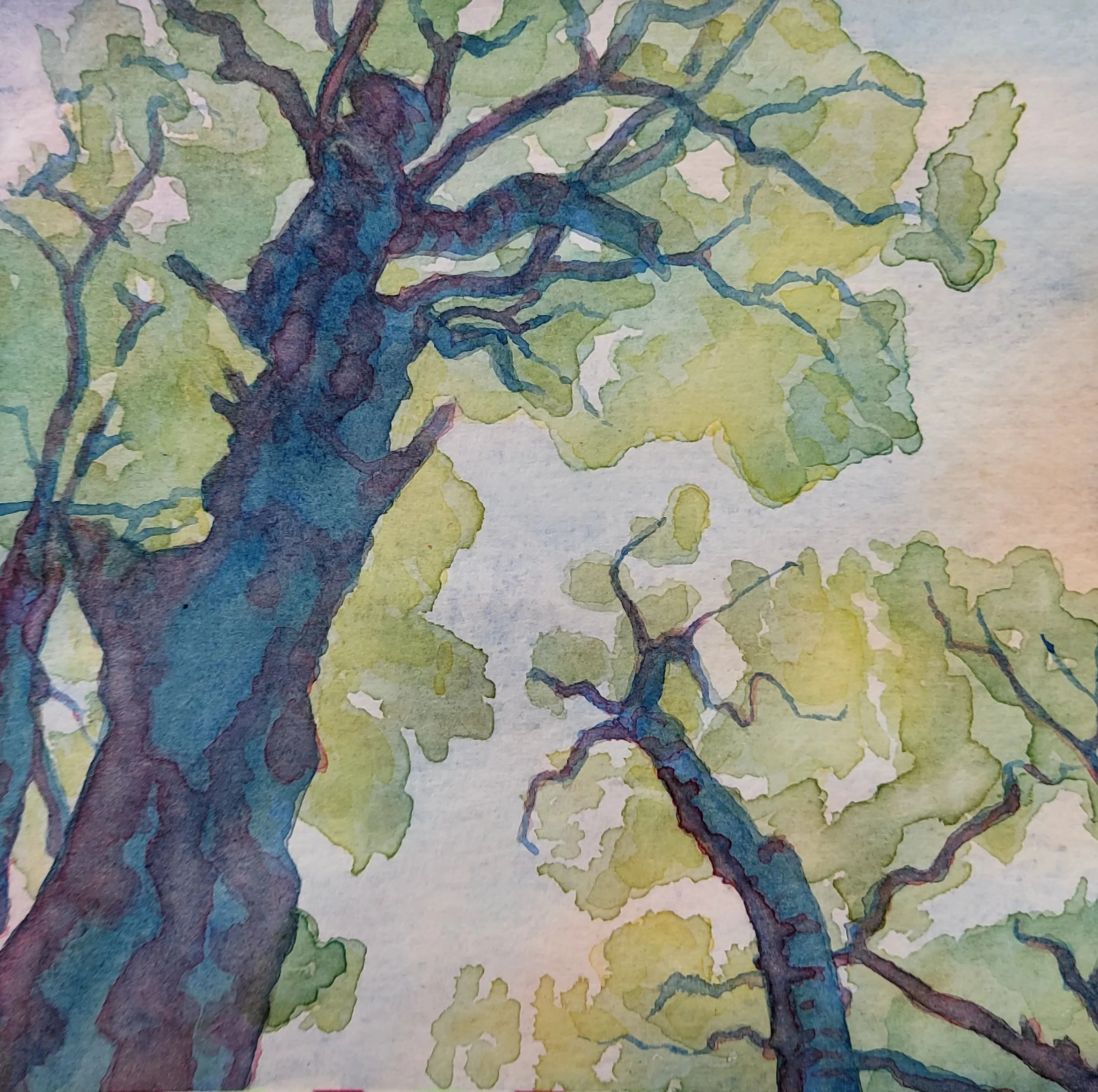 Freelance Art & Design