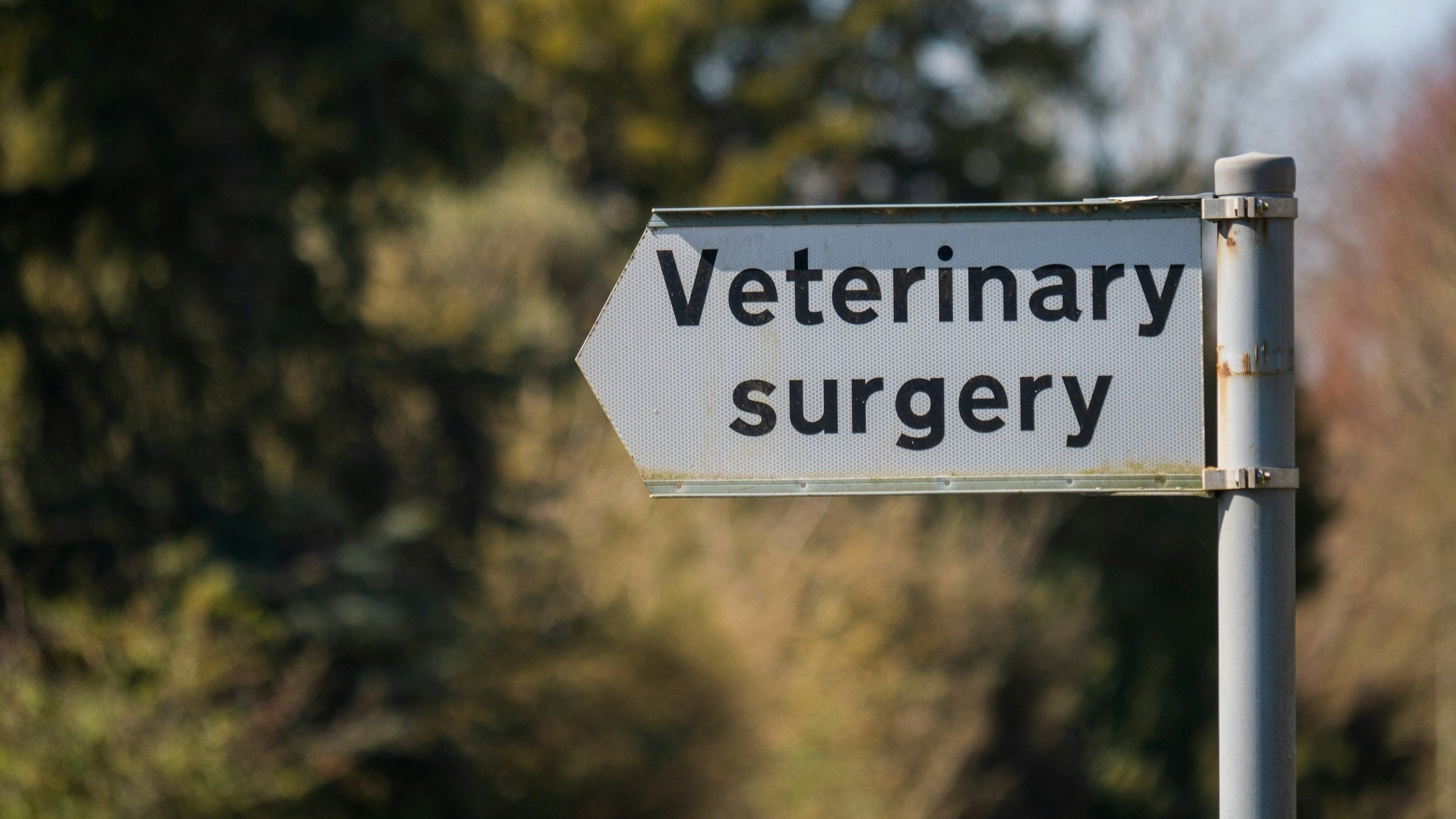 signpost of a certified vet's office