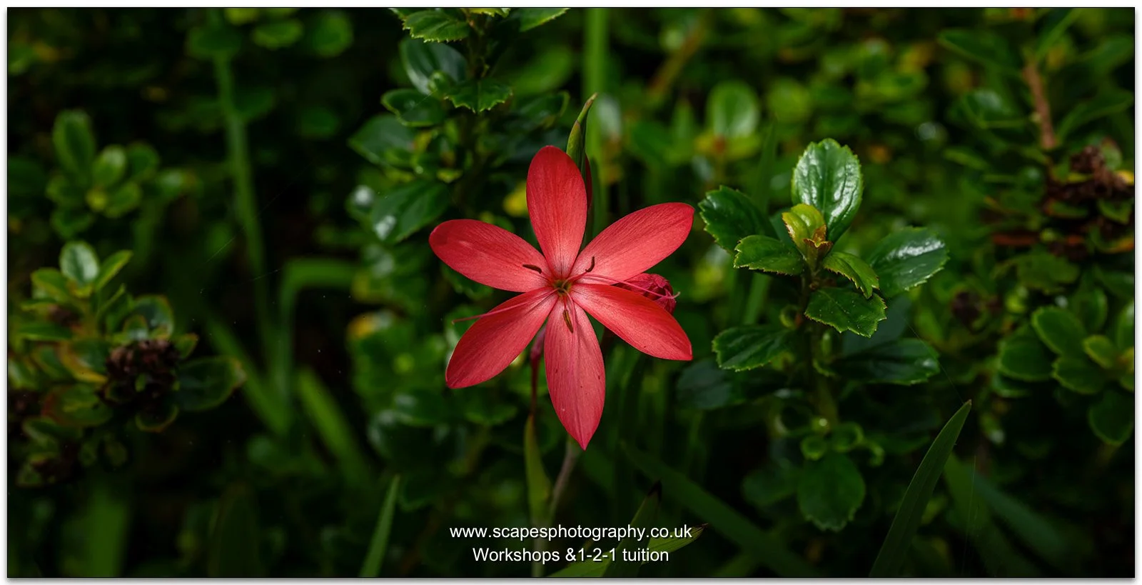 Scapes Landscape Photography Workshops -  027.jpg