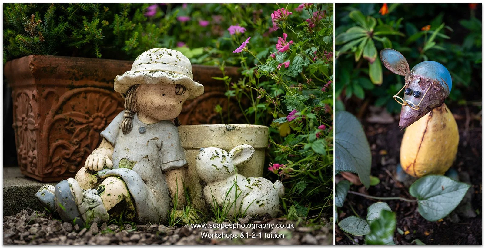 HEYSHAM - RHS Britain in Bloom 2025 - theme "Dogs & Gardening"