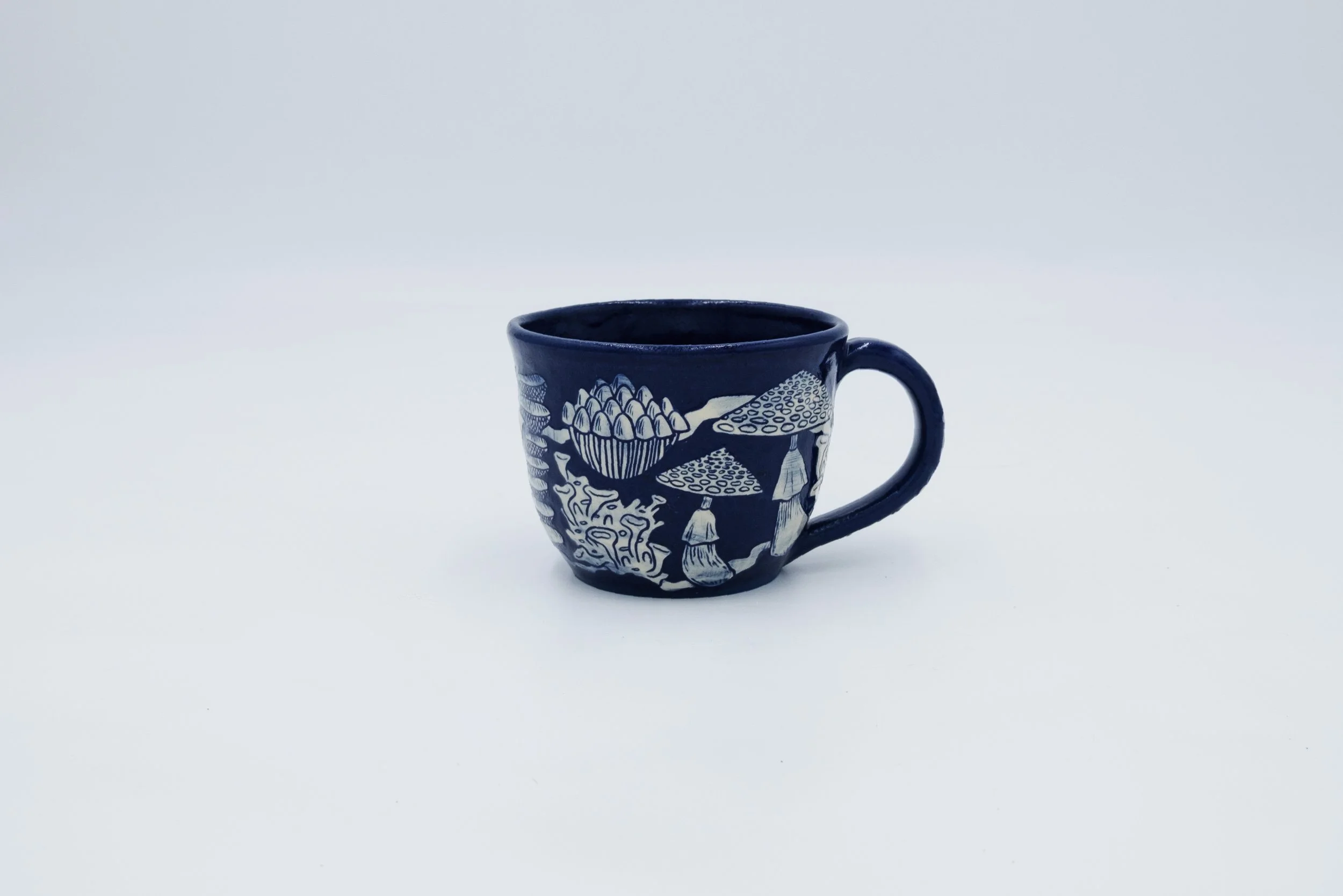mug-cyanotypemushrooms.jpg